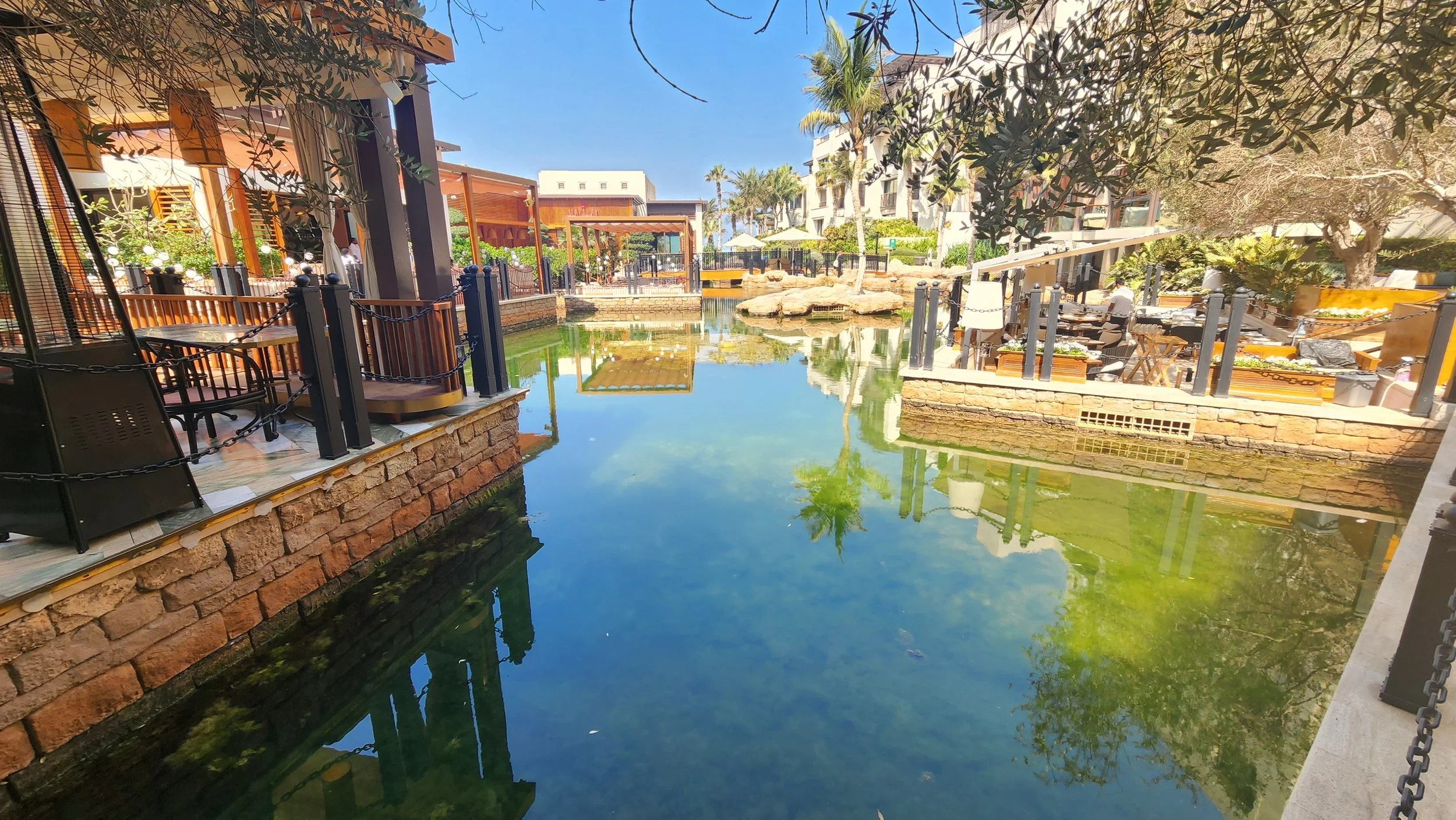 20250314_103609 - Copy.jpg