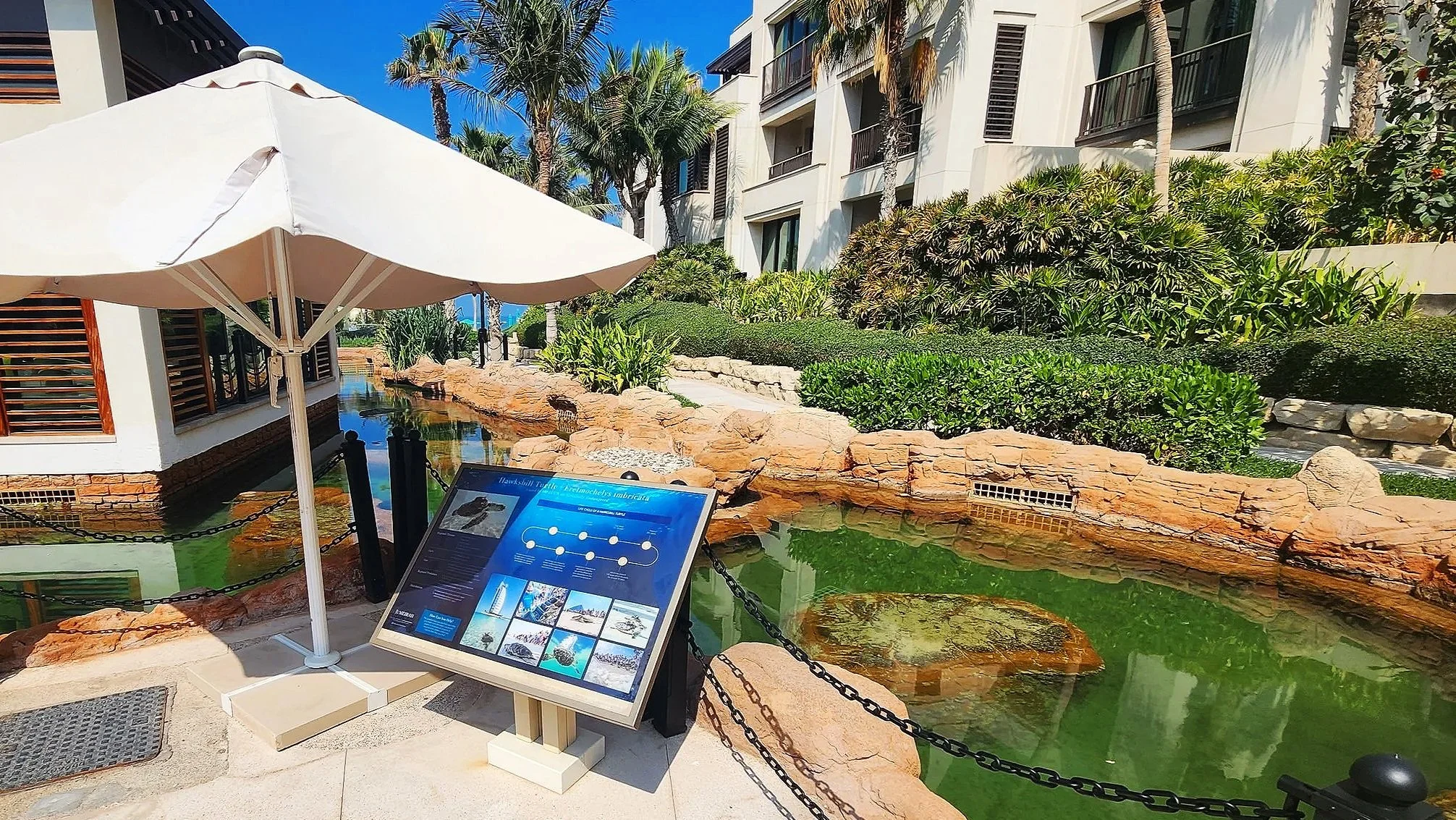 20250314_104028 - Copy.jpg