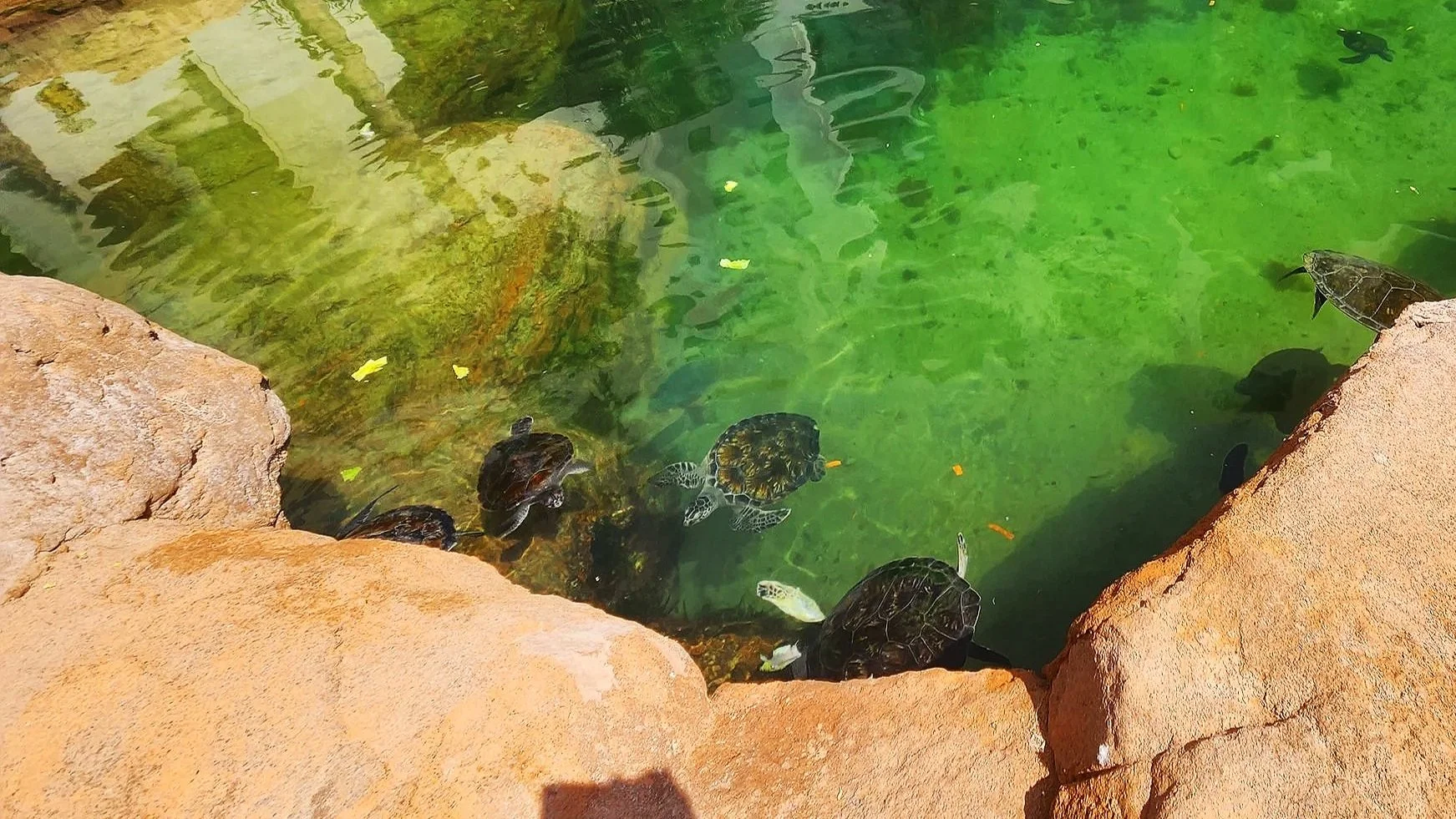 20250314_111155 - Copy.jpg