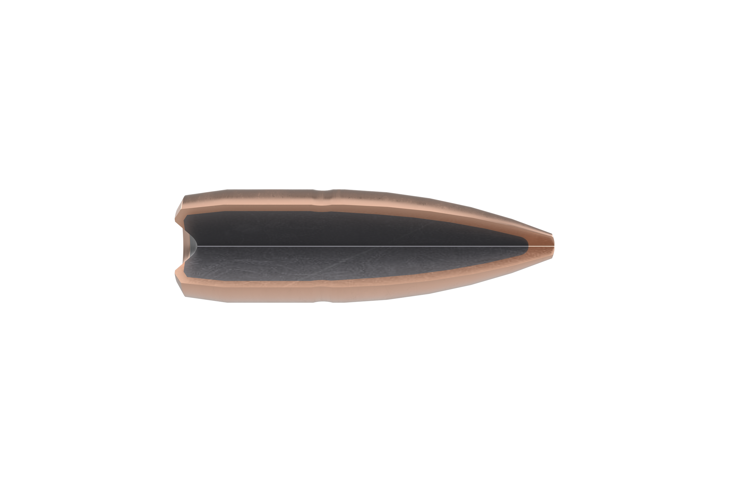 .223 DS-1 4.1 g