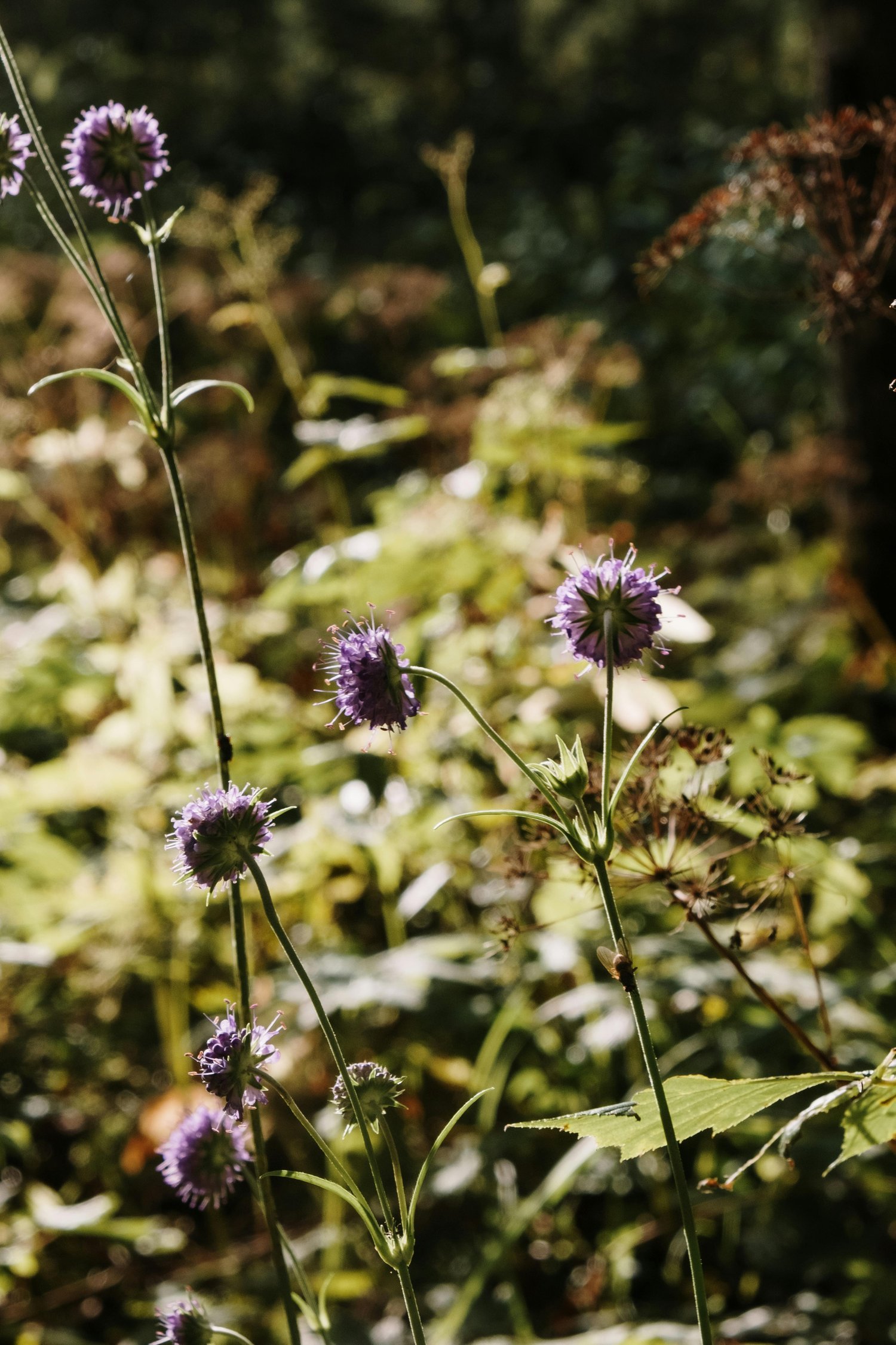 pexels-cottonbro-5590910.jpg