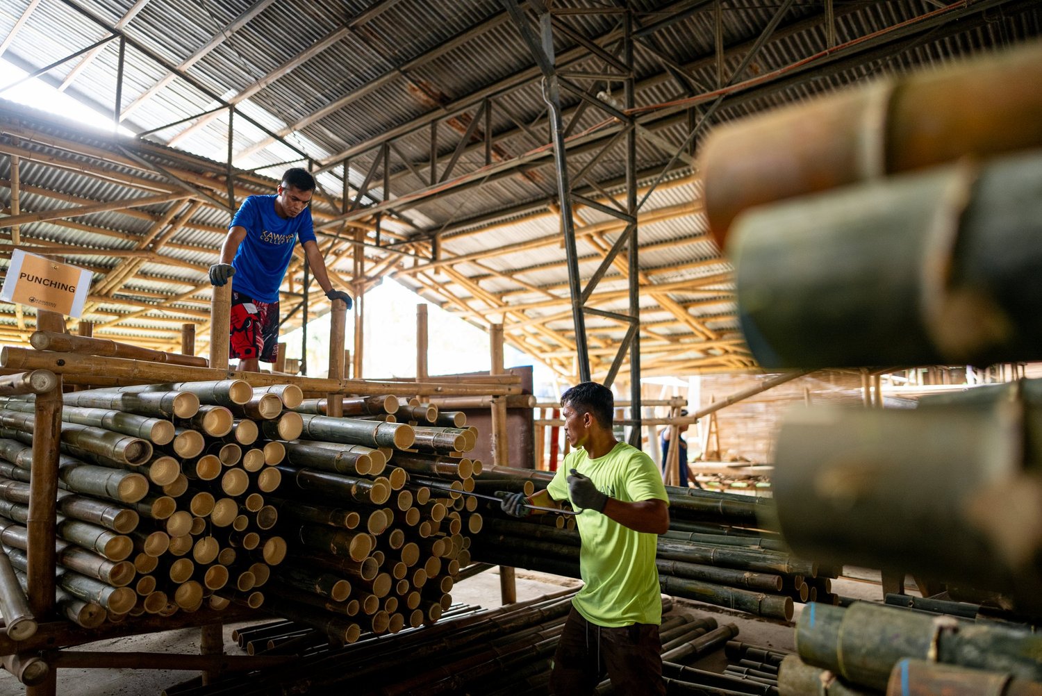 How Kohli’s Bamboo Research Supports Our Mission