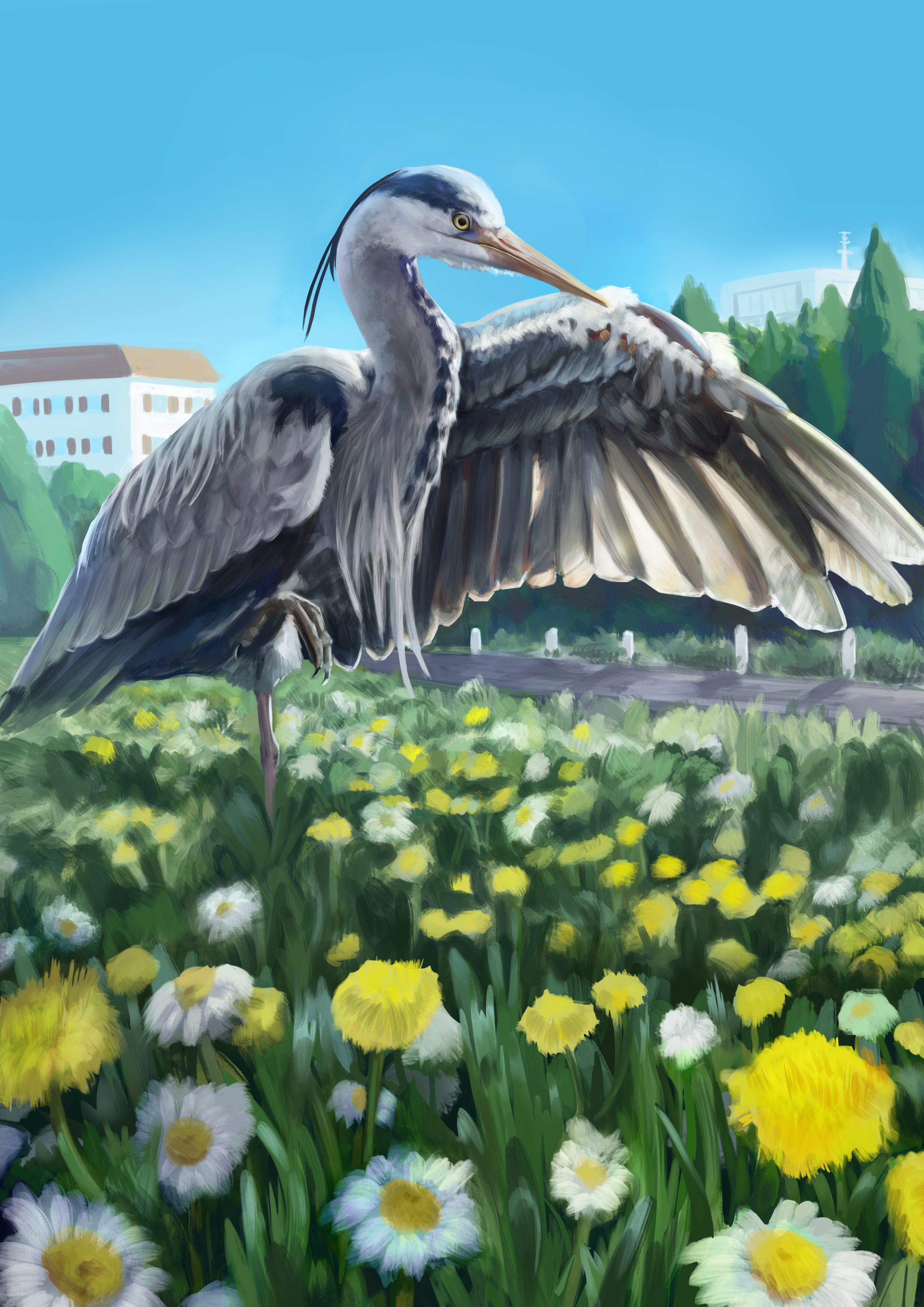 Graureiher Final.png