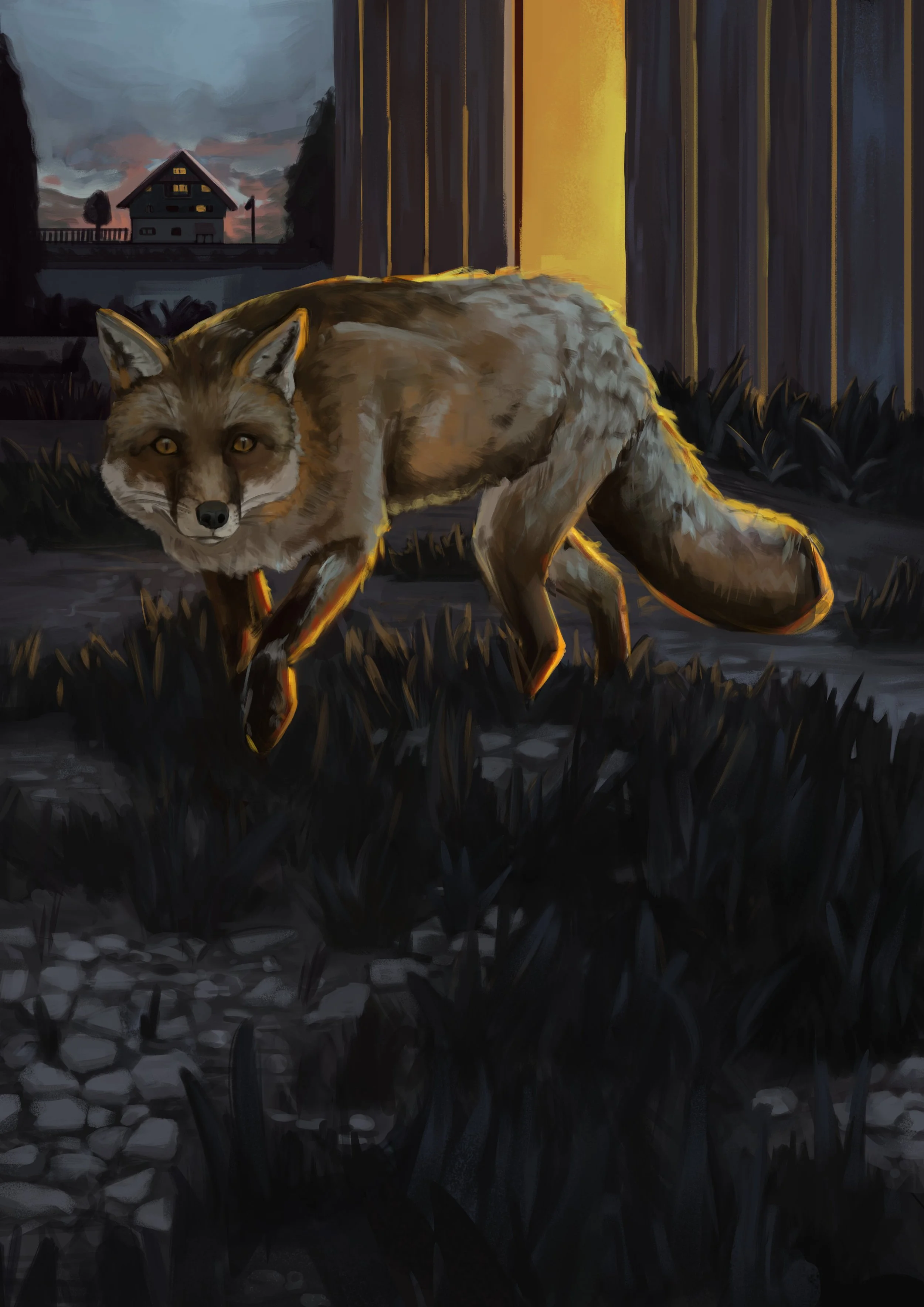 Fuchs.jpg