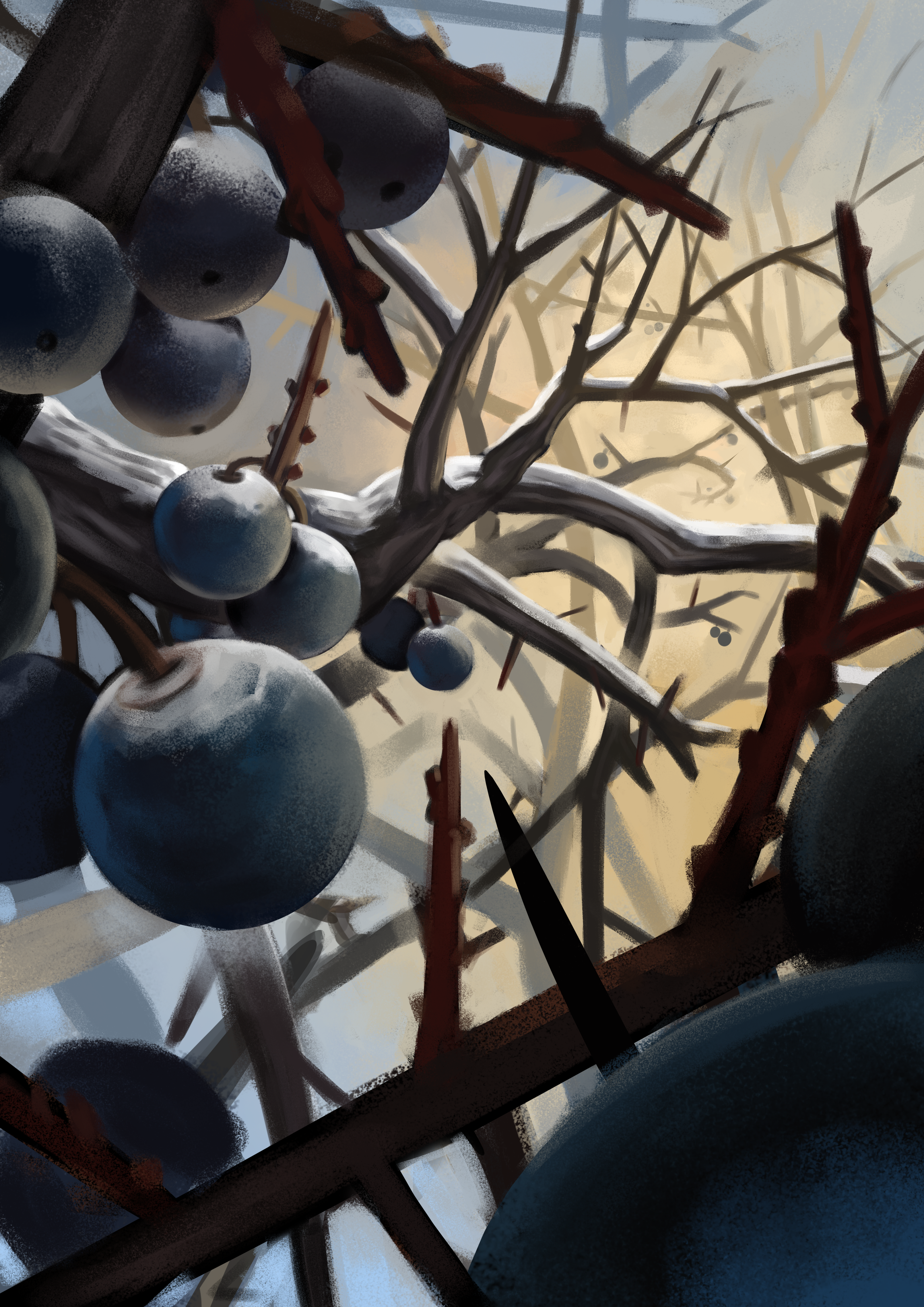 Schwarzdorn Final.png