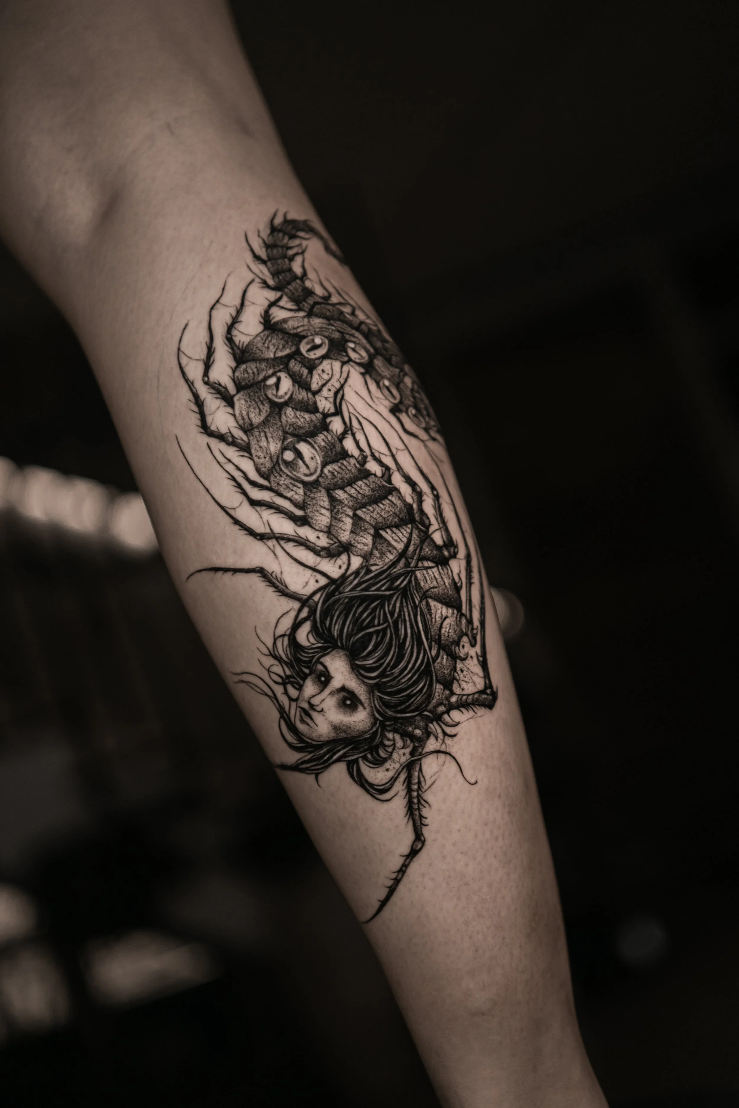 LKY04490.jpg
