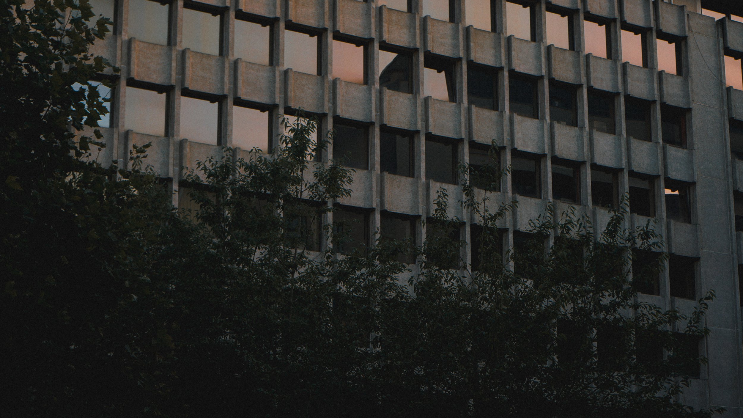 Façade d'un immeuble avec des fenêtres carrées et arbres au premier plan.