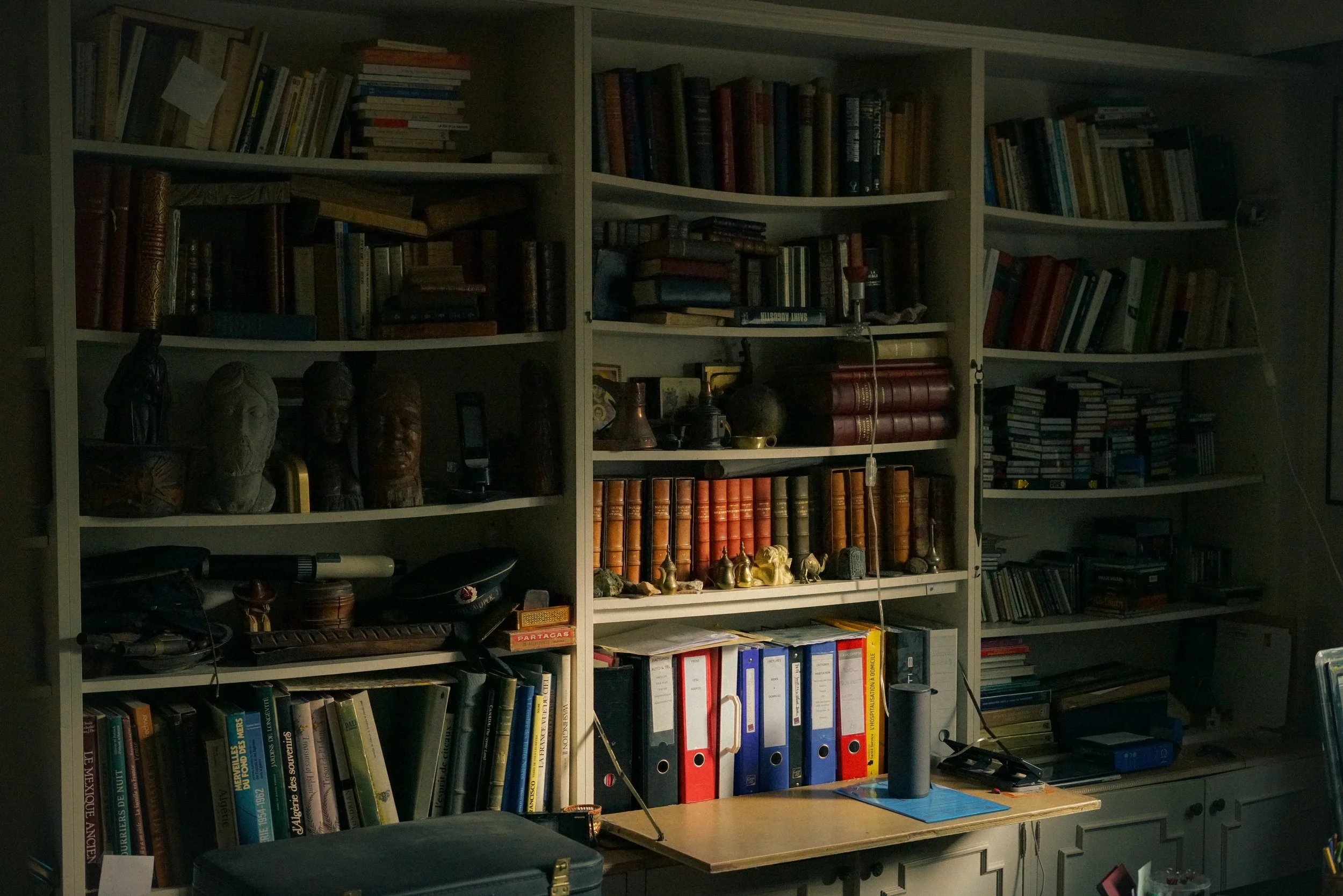 Bibliothèque remplie de livres, classeurs colorés, objets décoratifs, et petites statues sur les étagères.