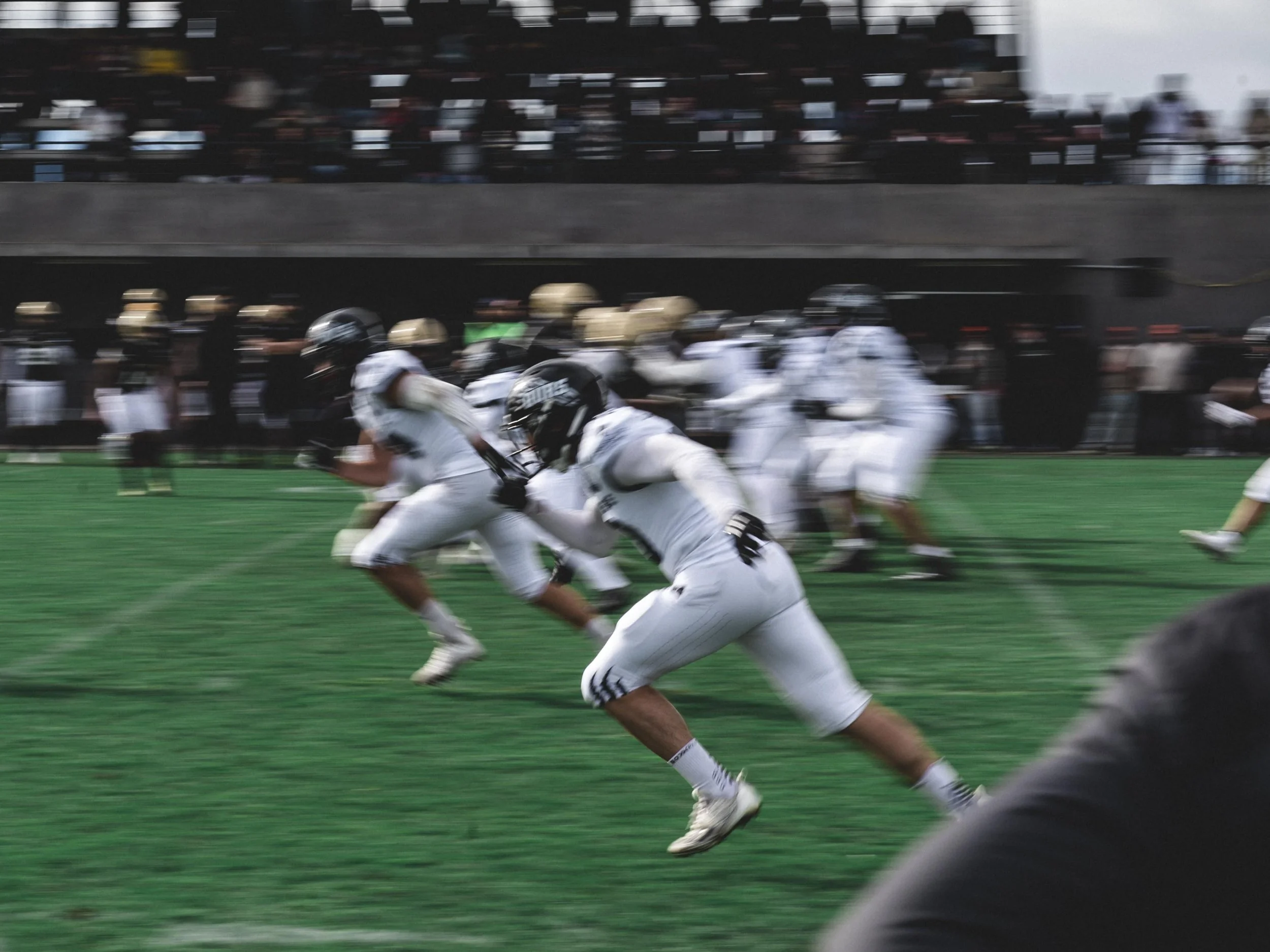 GRIZZLYS CATALANS-75.jpg