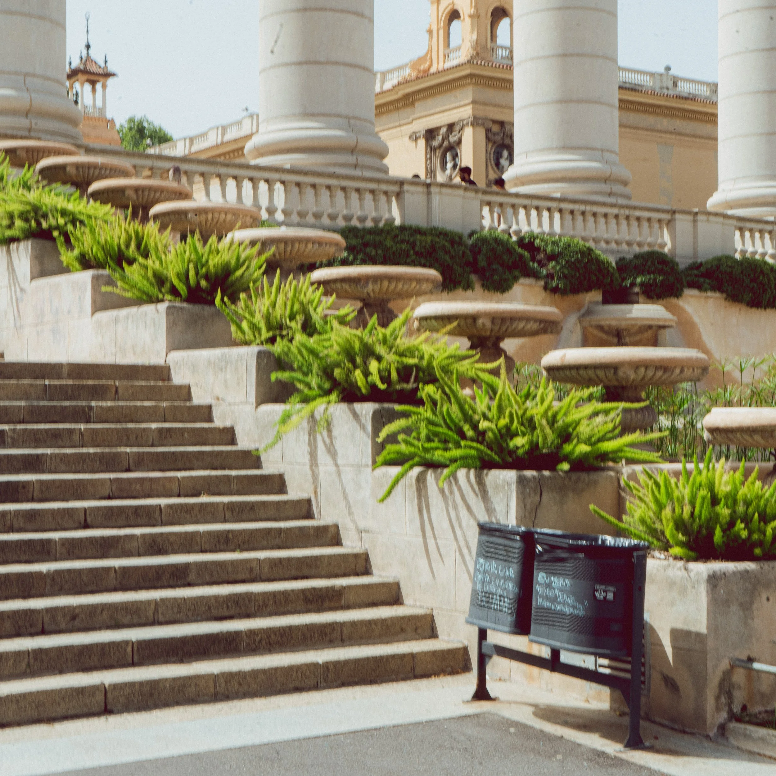 Escalier en pierre avec balustrade, décoré de plantes vertes en pot, et grandes colonnes en arrière-plan.