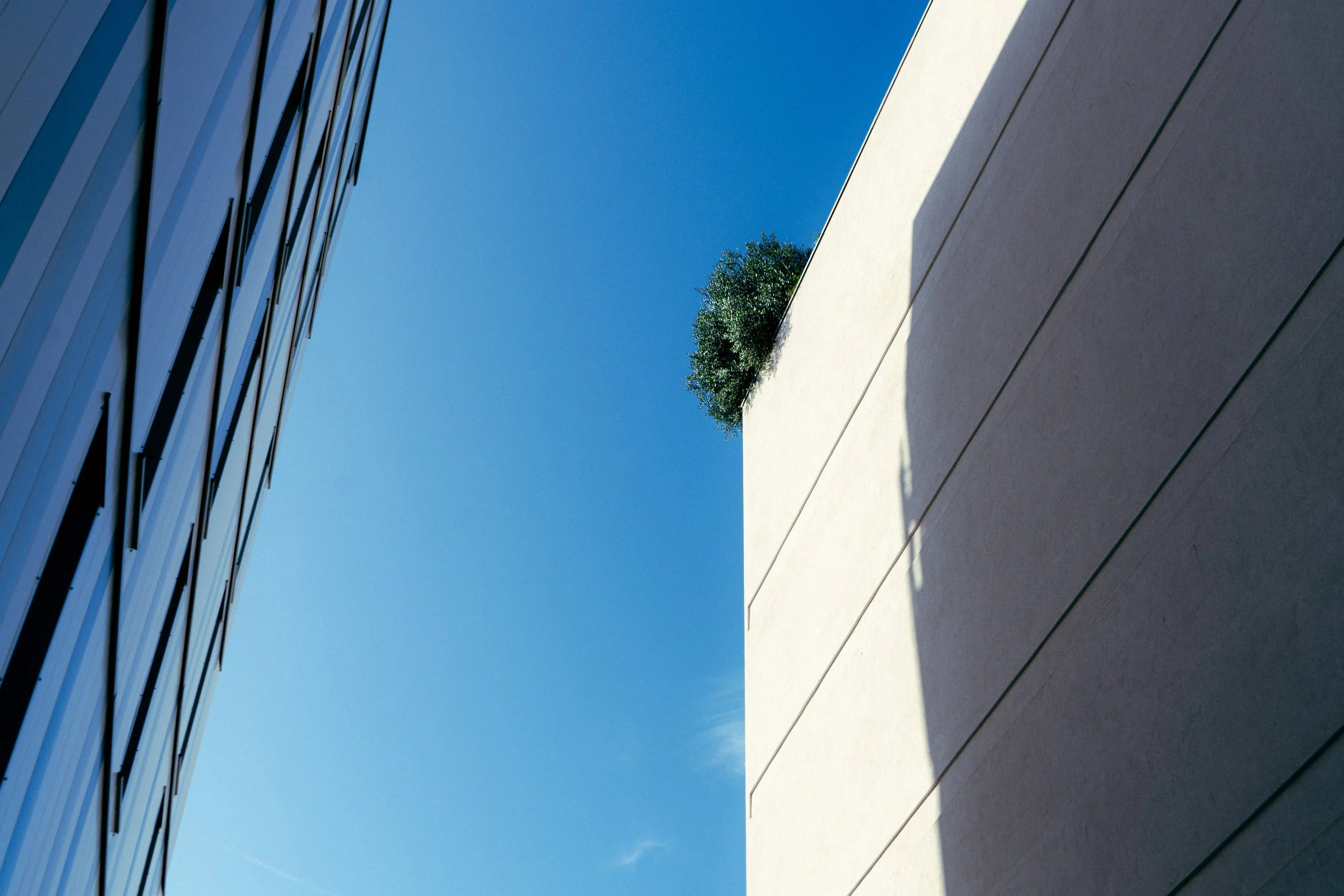 Deux bâtiments modernes vus en contre-plongée avec un ciel bleu; un arbuste visible au bord du toit.