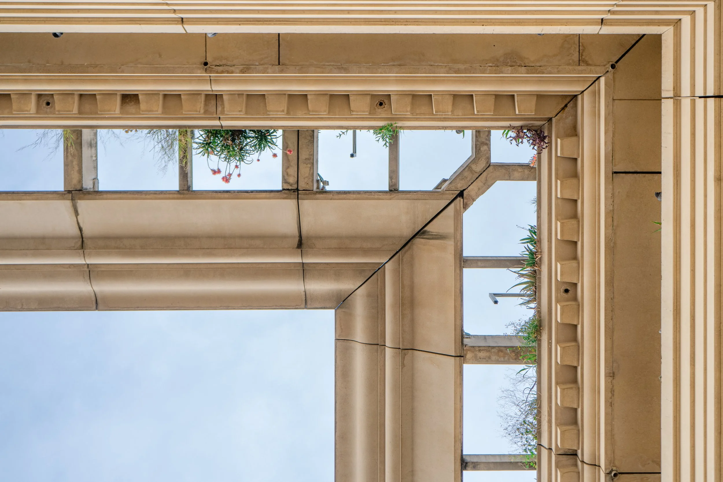 Vue vers le haut d'une structure architecturale avec des colonnes, des plantes et le ciel visible.