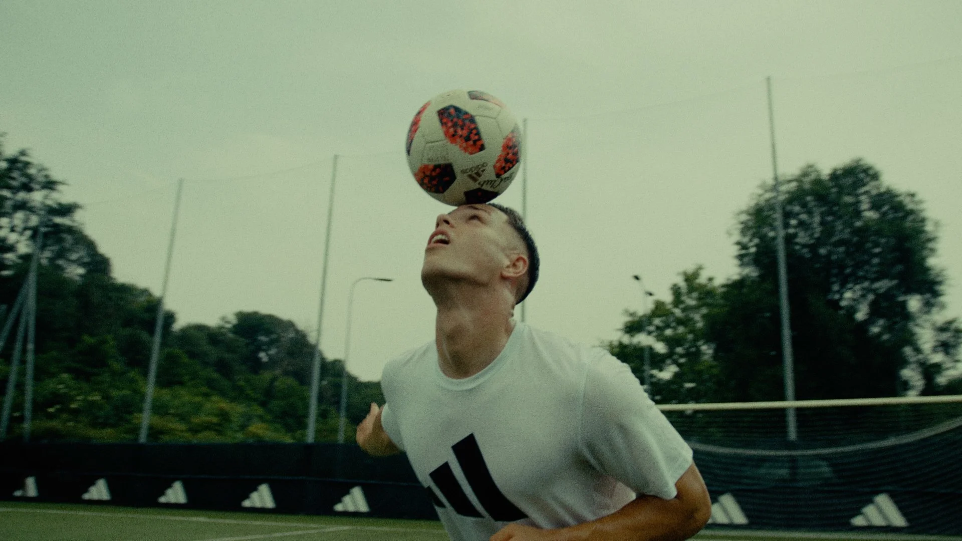 SIMIC_still0 copia.jpg