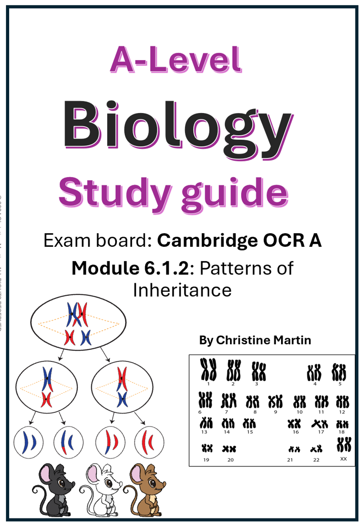 Module 6 Patterns of inheritance