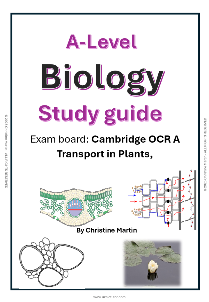 Transport in plants.png