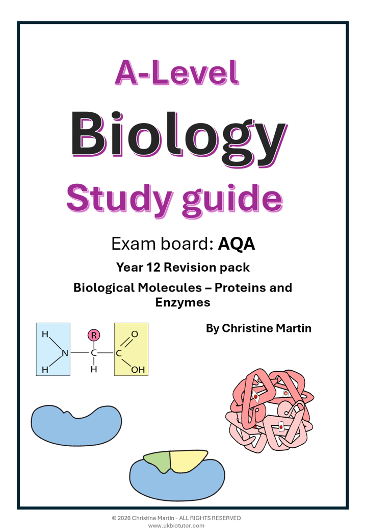 AQA AS Biological Molecules - Proteins and Enzymes