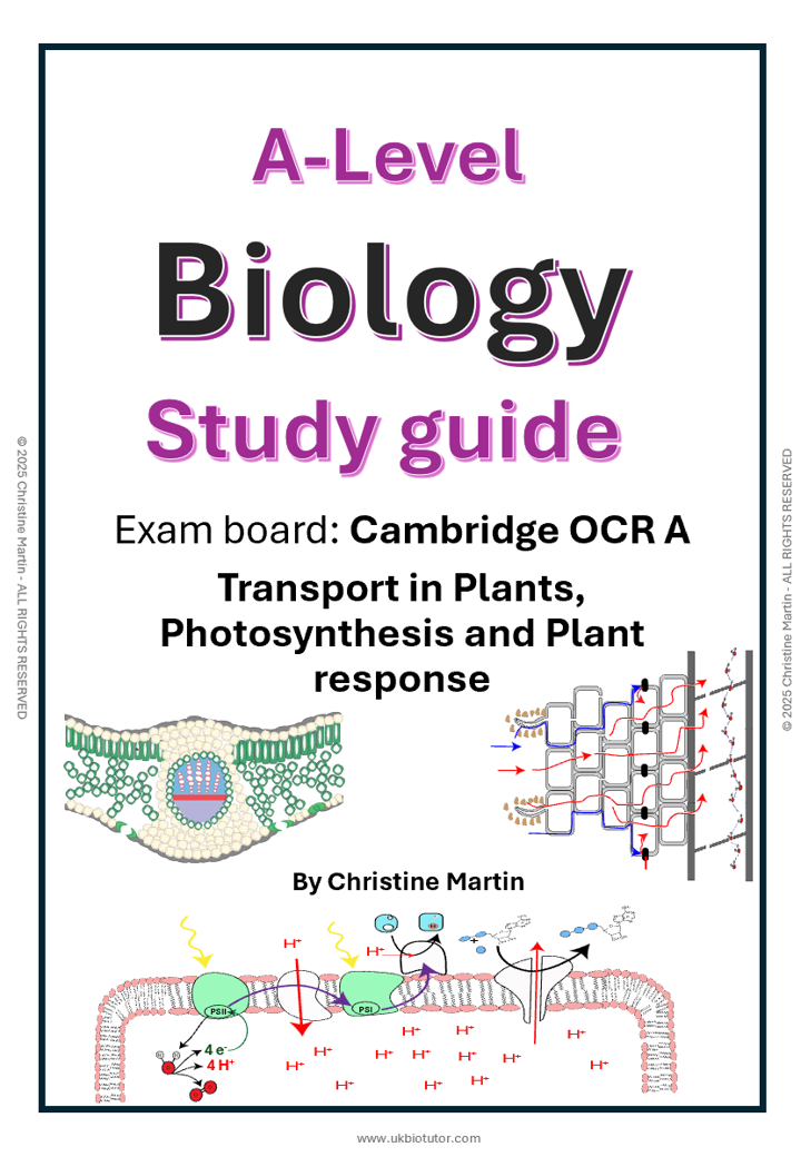 Module 3 and 5 Transport in plants, photosynthesis and plant response