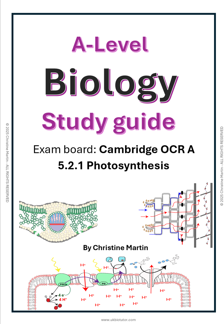 Module 5 Photosynthesis