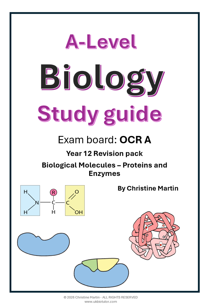 Biological molecules proteins and enzymes.png