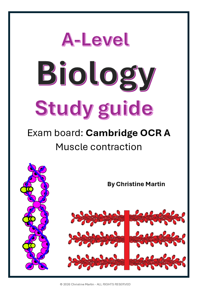 Animal Response - Muscle contraction