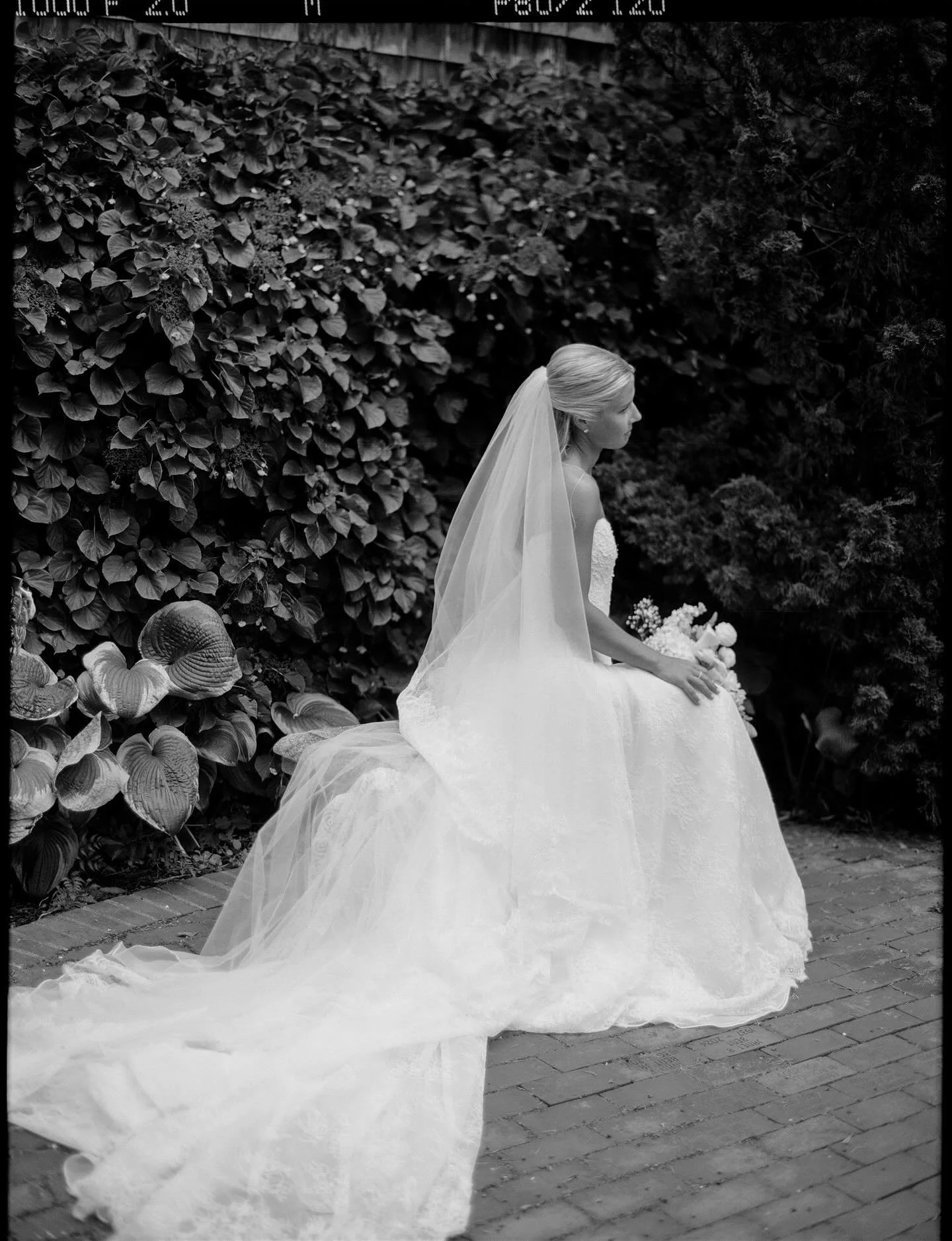 Favorite portraits of L right before she walked down the aisle. Shot on digital and film 🎞️

Planner: @deborahminarikevents 
Photo team: @kararhelfrich @im_p_foxy 
Content creator: @eventsbestie_ 
Beauty: @bridalrush