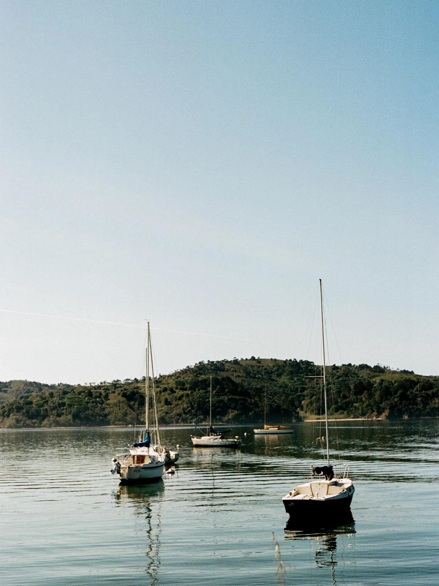 In and around Marin and SF. Shot on film 🎞️