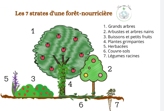Capture d’écran 2024-07-15 160343.png