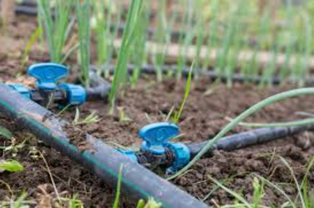 Capture d’écran 2024-06-10 160625.png