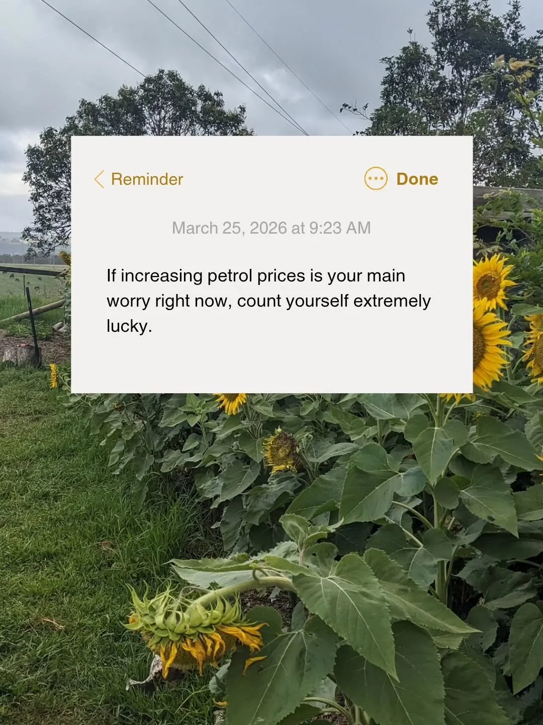 If you feel safe in your home and your community and you have access to fresh food, you are luckier than you think. Your perspective can either make you feel hopeless or grateful. Choose wisely.