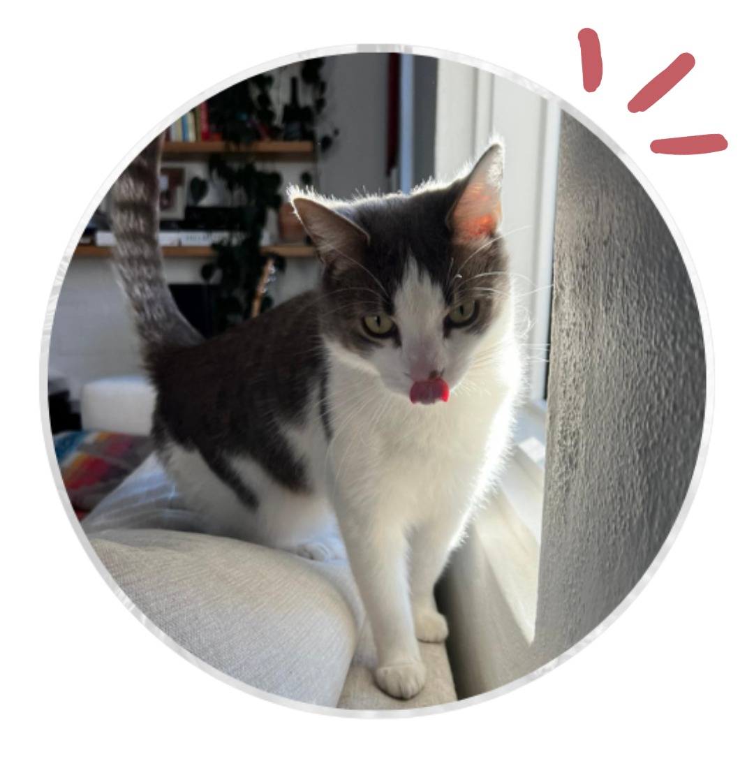 Sassy Logo & Icons-8.png