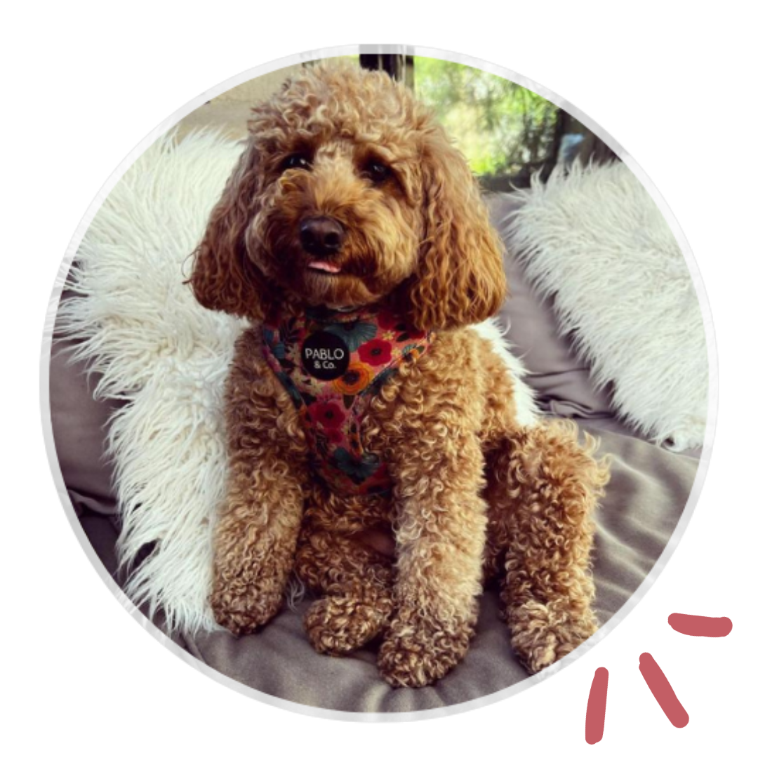 Sassy Logo & Icons-7.png