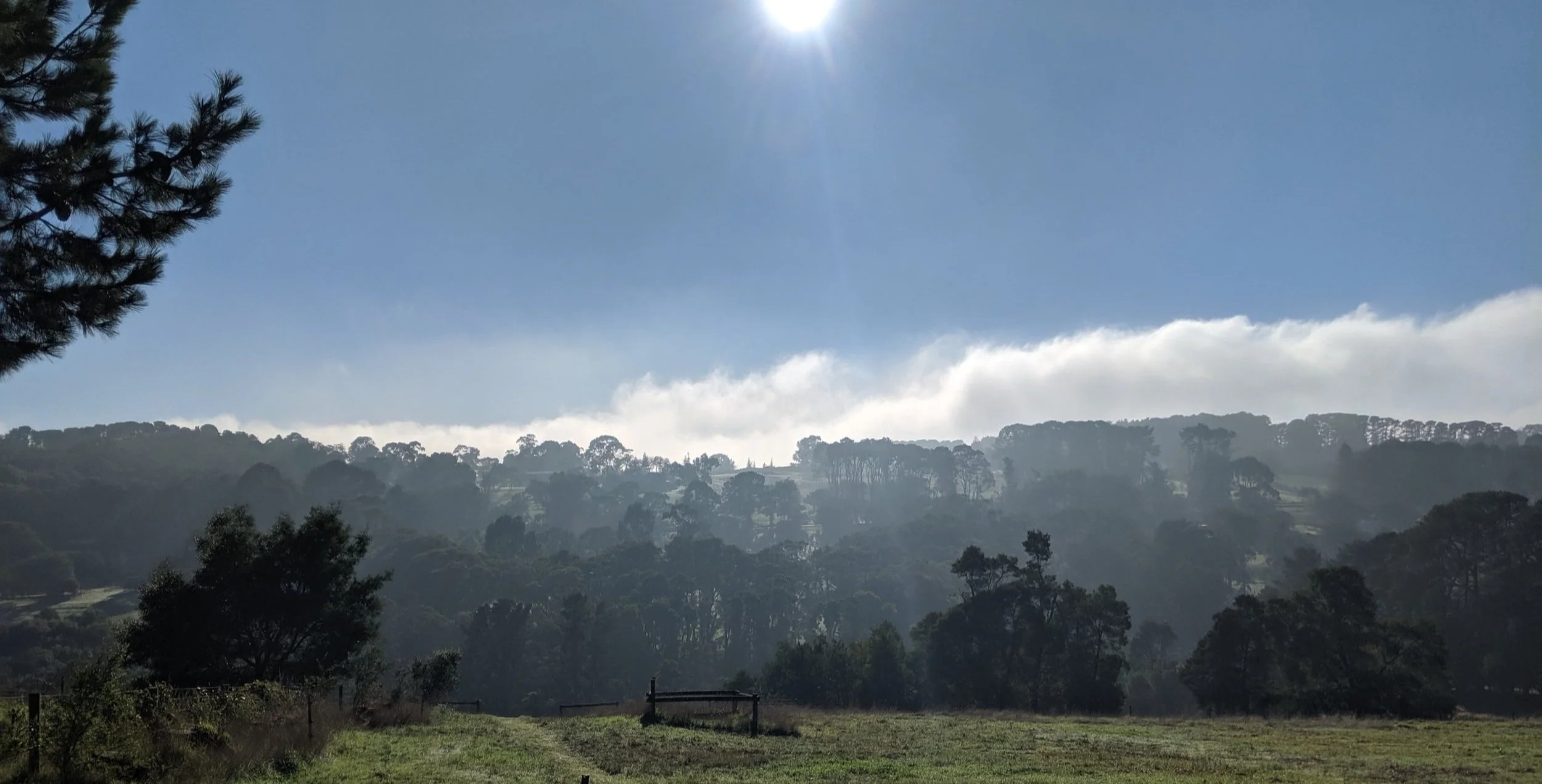 View of The Best Off-the-Grid Wellness Retreats