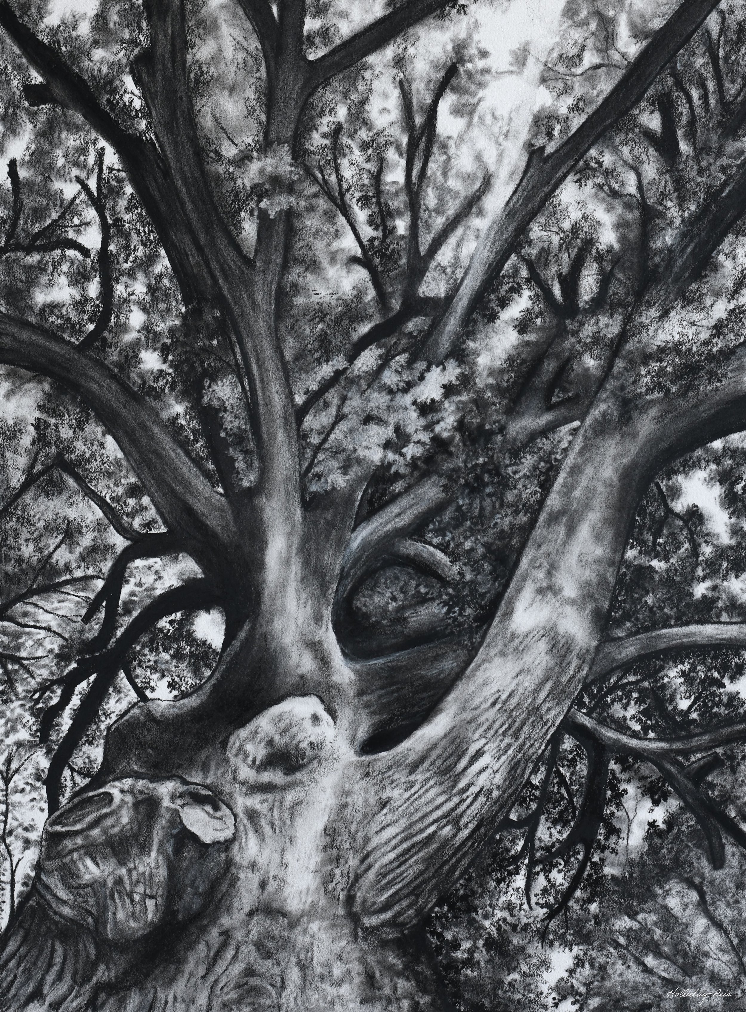 Oak of Righteousness