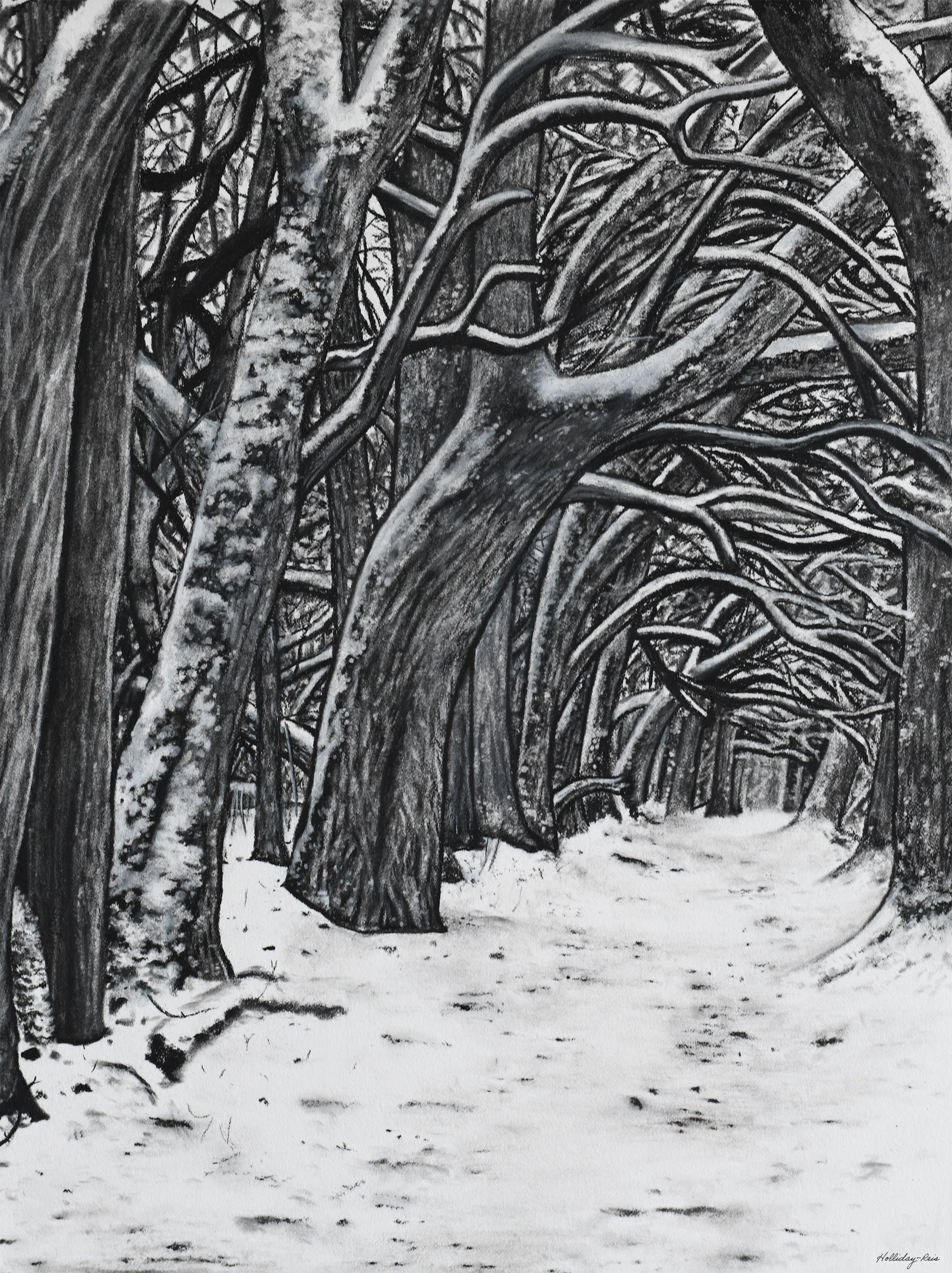 OsageTreeTunnel copy.jpg