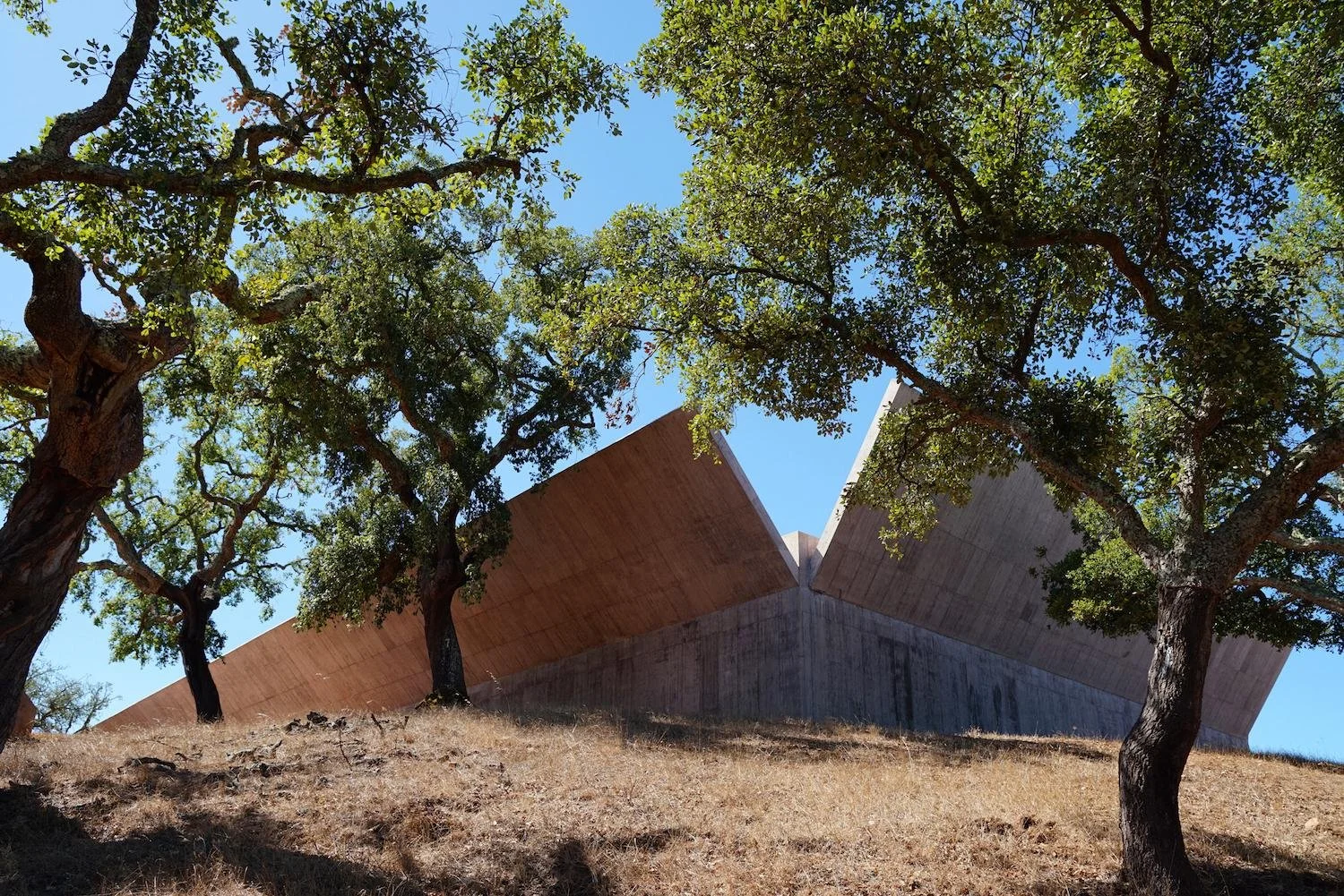 valerio-olgiati-villa-alem (1).jpg