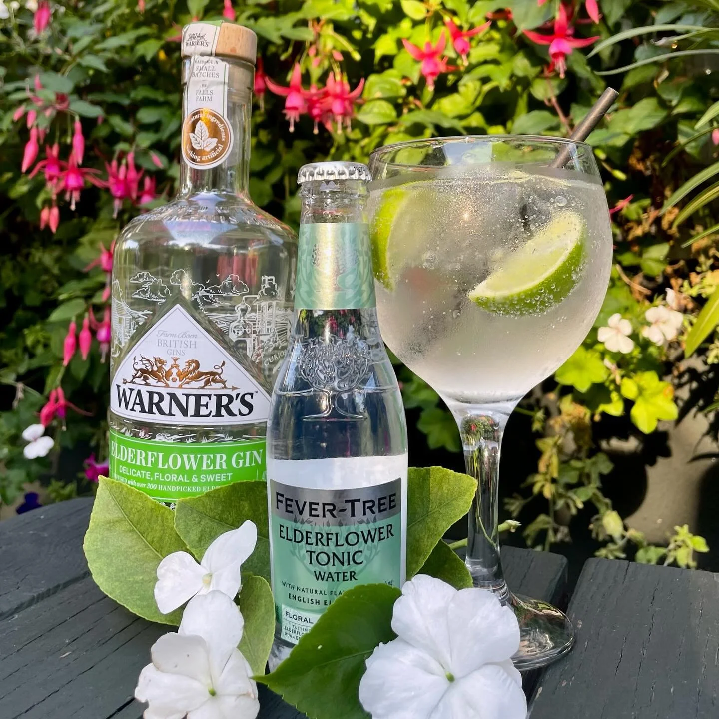 Summer may be winding down, but this drink will keep the sunshine going 🌞🌸Warner&rsquo;s elderflower gin is here. A little floral, a little crisp, and completely refreshing 
#ginandtonic #warnersgin #elderflower #fevertree #gin #baskinginthesun #su