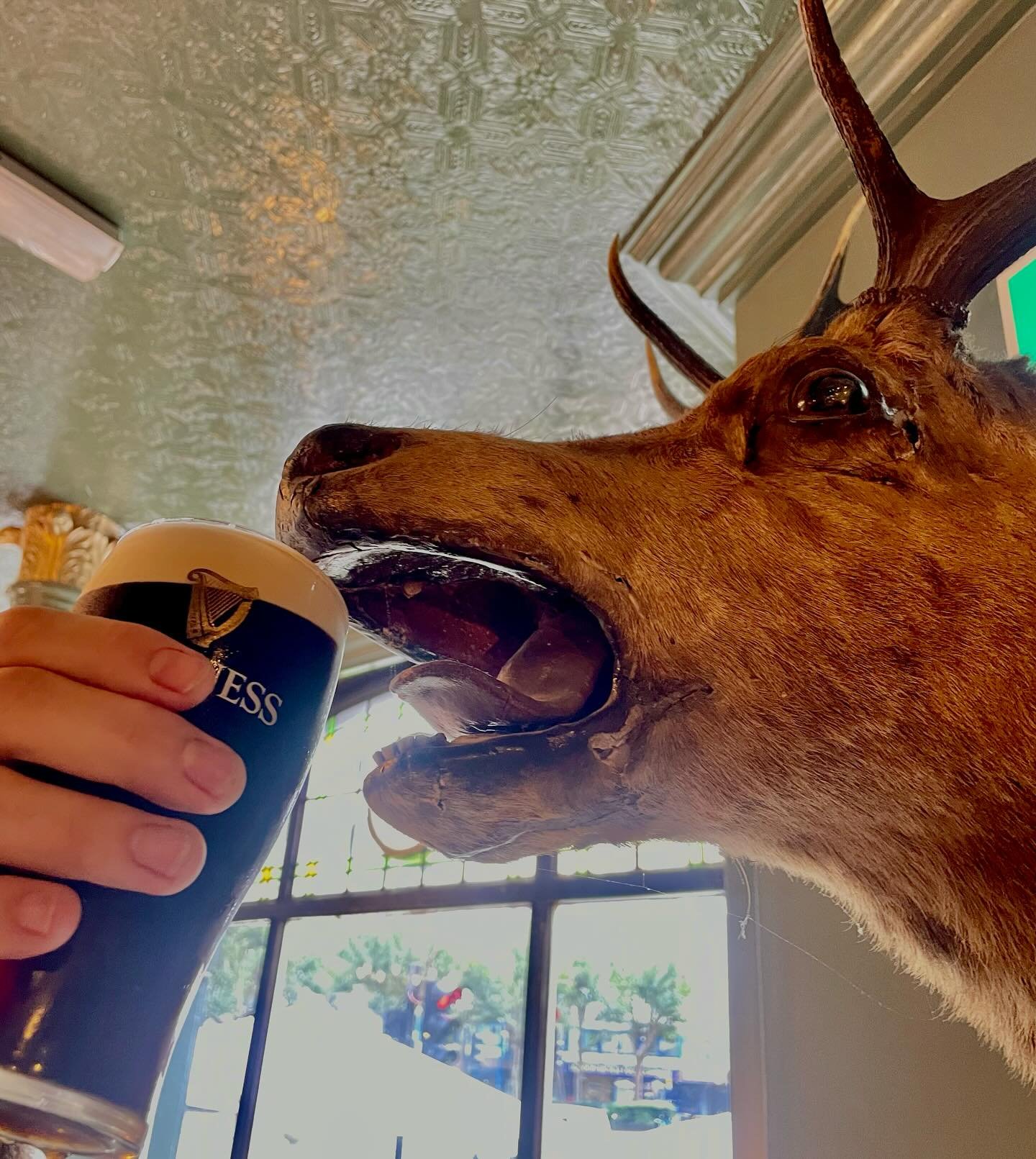 Caught mid-pint 🍻 The Three Stags&rsquo; most loyal regular enjoying his usual. Guinness season is upon us! 
#guinness #londonpints #thethreestags #kennington #southlondon