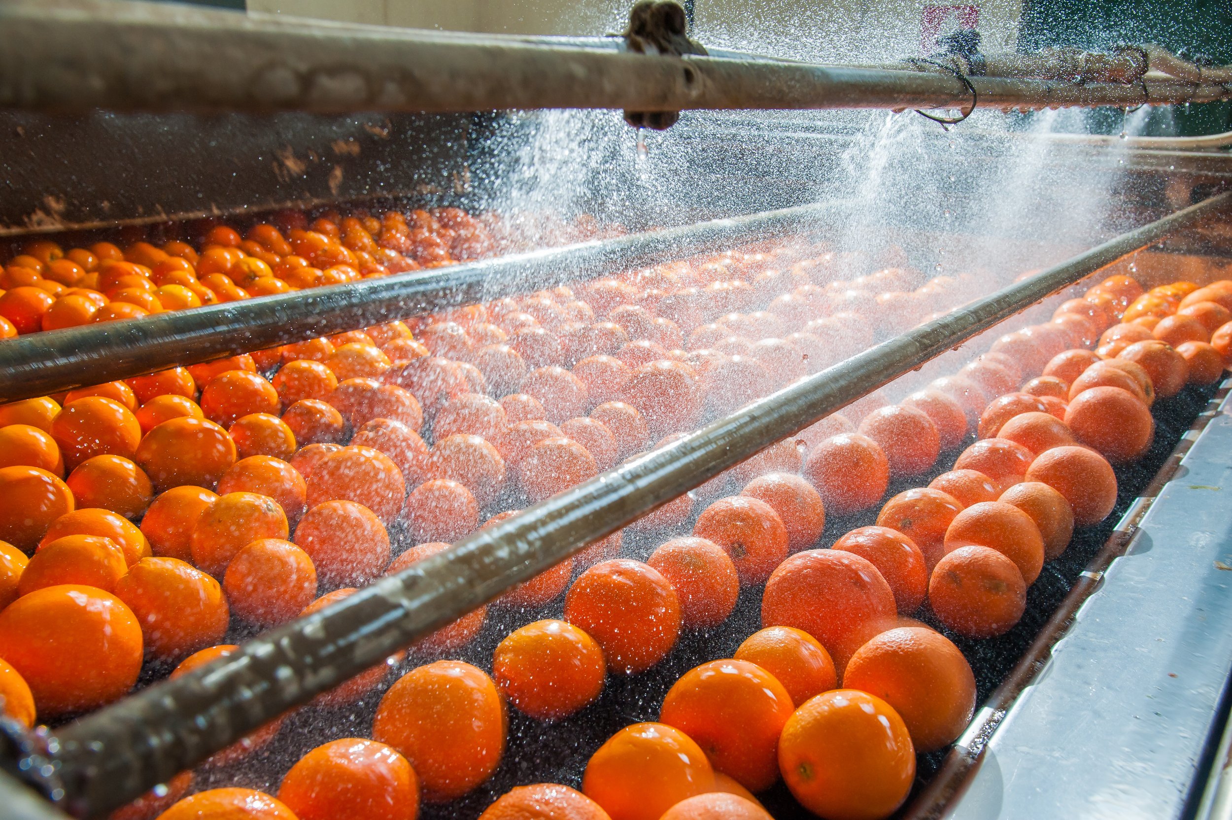 If wastewater is not treated properly for reuse, food can become contaminated.