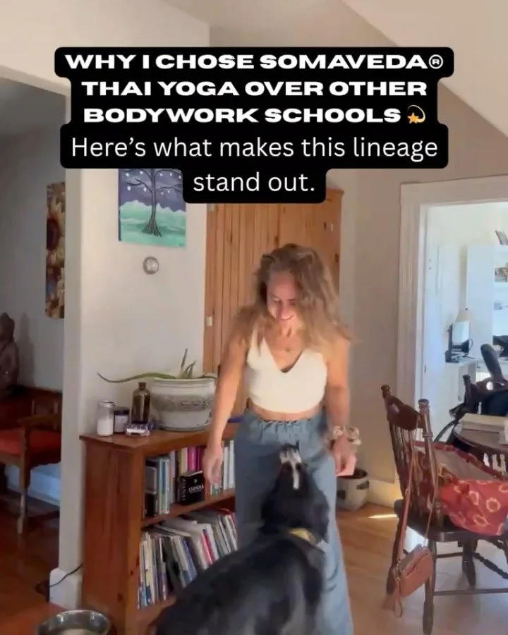 When I decided to study bodywork, I didn&rsquo;t want just another certification.

I wanted something real. Something sacred. Something that honored both the practitioner and the client.

That&rsquo;s why I chose SomaVeda&reg; Thai Yoga.

🌿 It welco