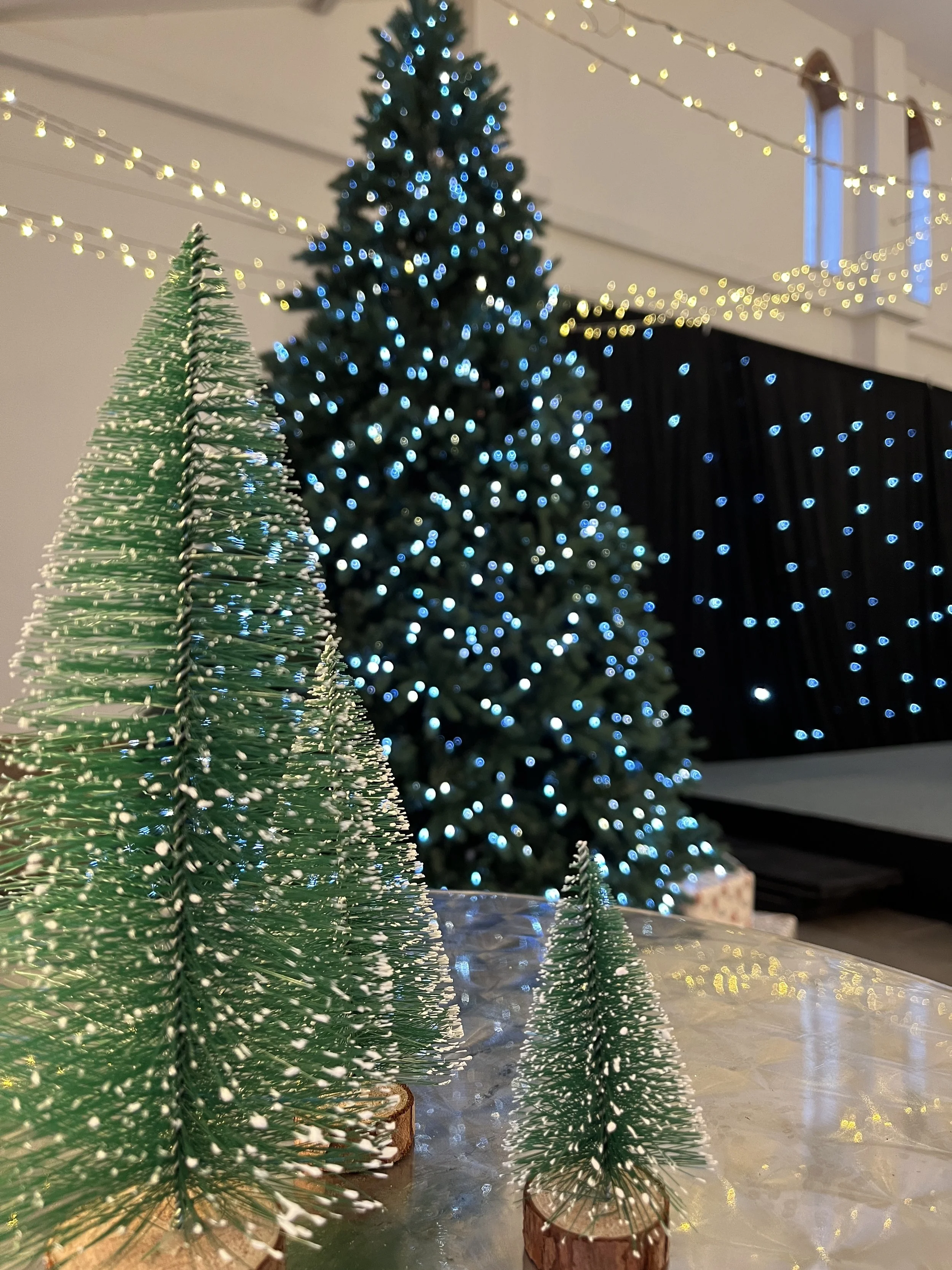 Worton Hall Oxford, Witney Christmas Tree.jpg