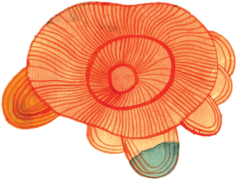 Abstrakte Illustration einer orangefarbenen, spiralförmigen Muschel mit mehreren Schattierungen und Linien, auf hellen und dunklen Hintergrundfarben.