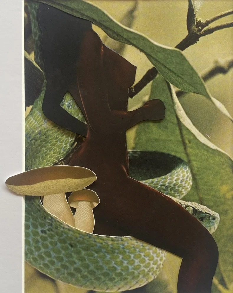 Une illustration représentant un caméléon avec des éléments en 3D comme un chapeau ou un objet en forme de champignon, superposé à une photo de feuillage et de serpent. Collages contemporains surréalistes par Julia Chameroy