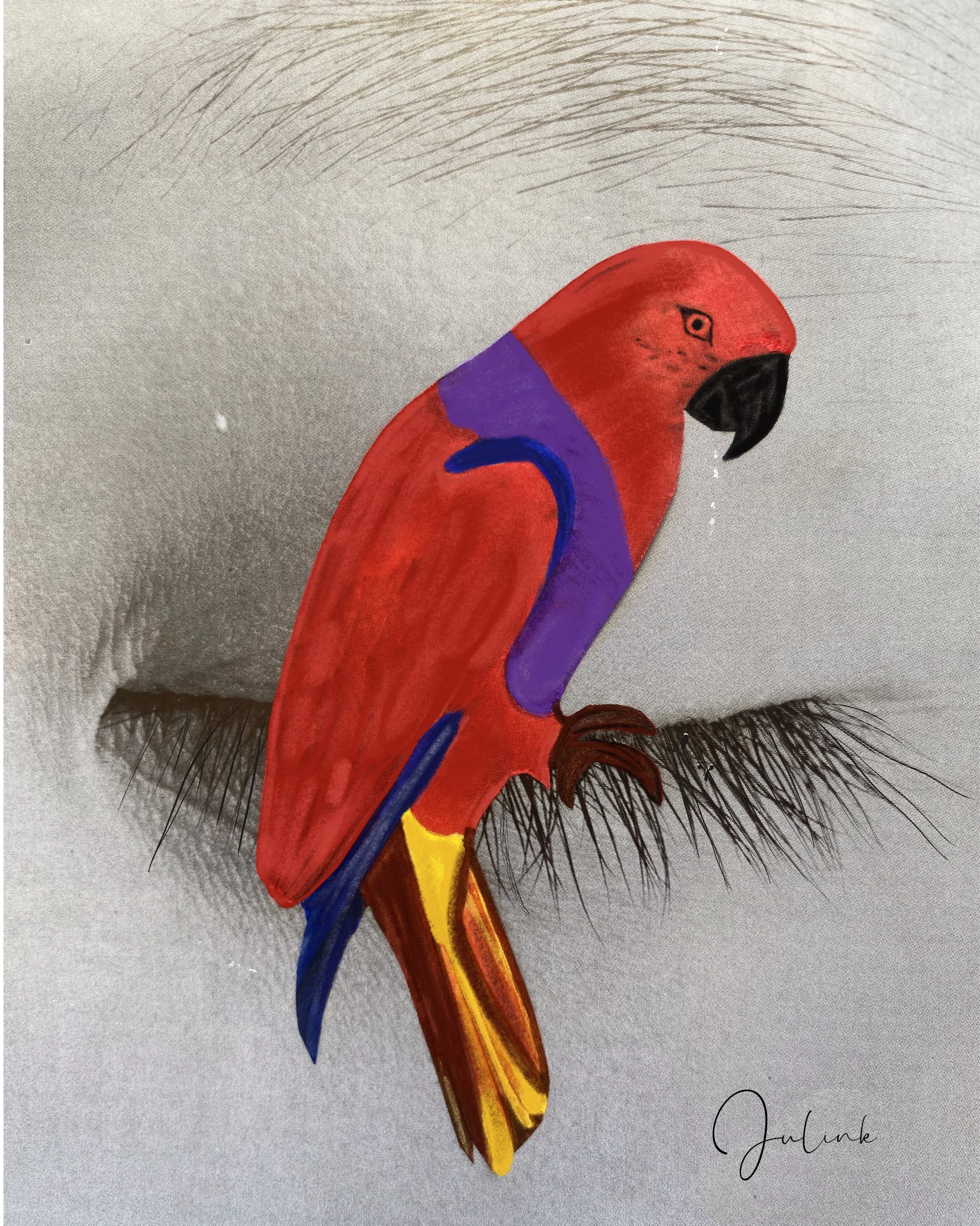Peinture d'une perruche rouge, avec des ailes bleues et jaunes, posée sur une ligne de cils, avec une signature en bas à droite. Collages contemporains surréalistes par Julia Chameroy 