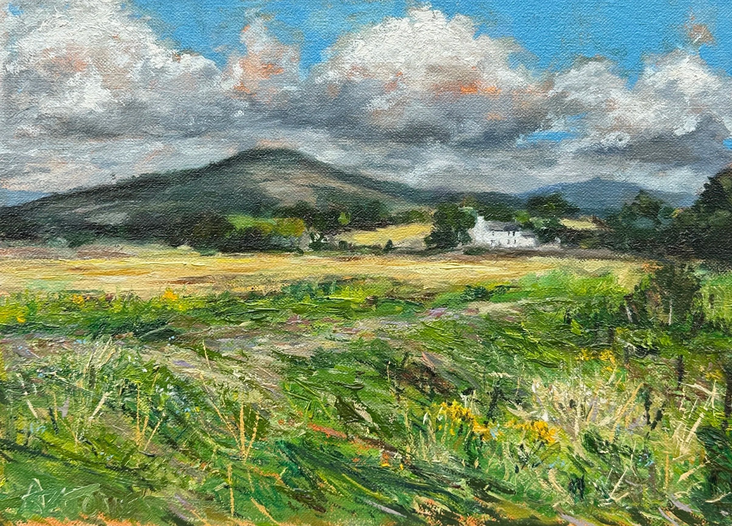 Bay View to Warton Crag - Oil on canvas - 36 x 25.5 cm