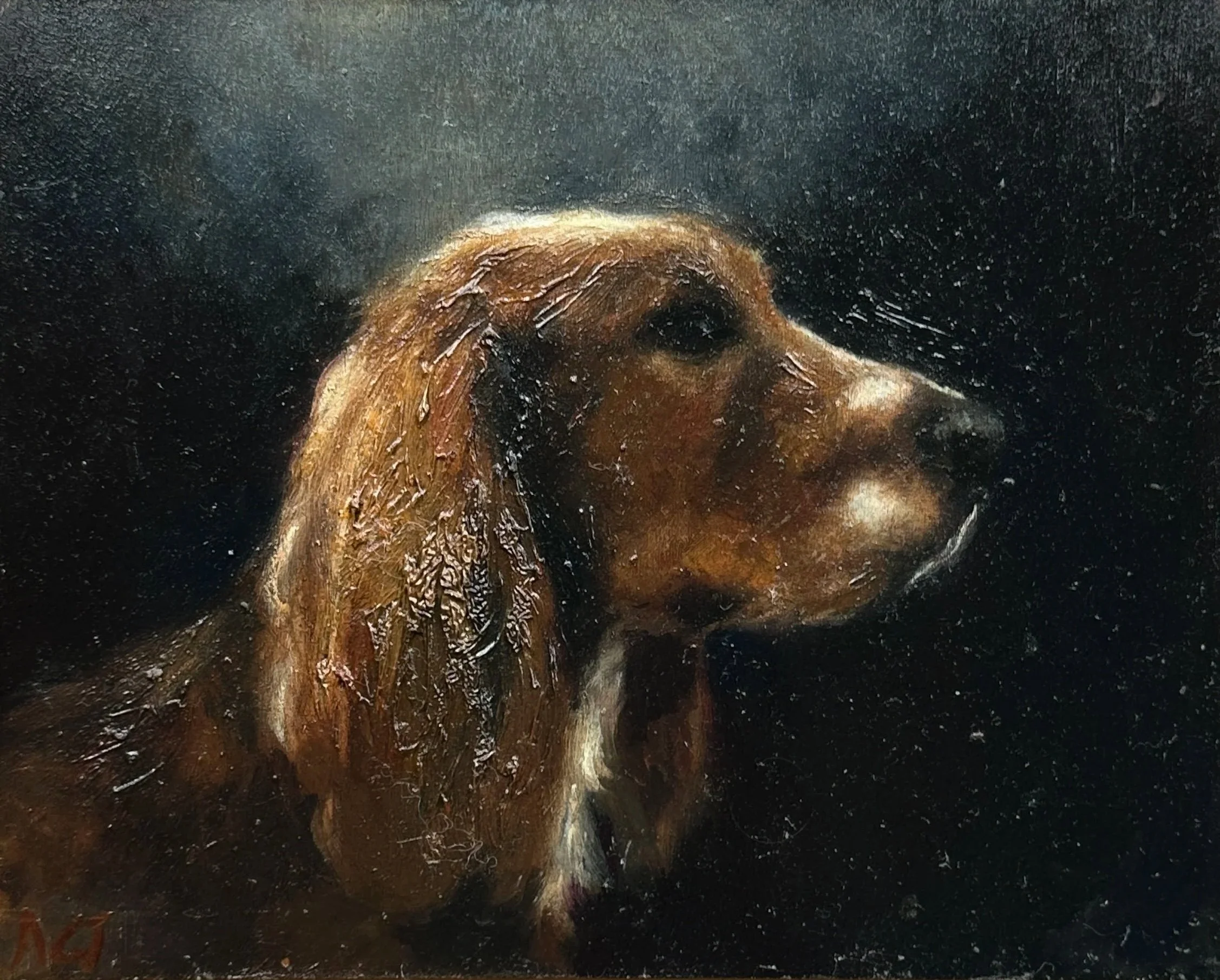 Profile of Spaniel - Oil on panel - 25 x 20 cm