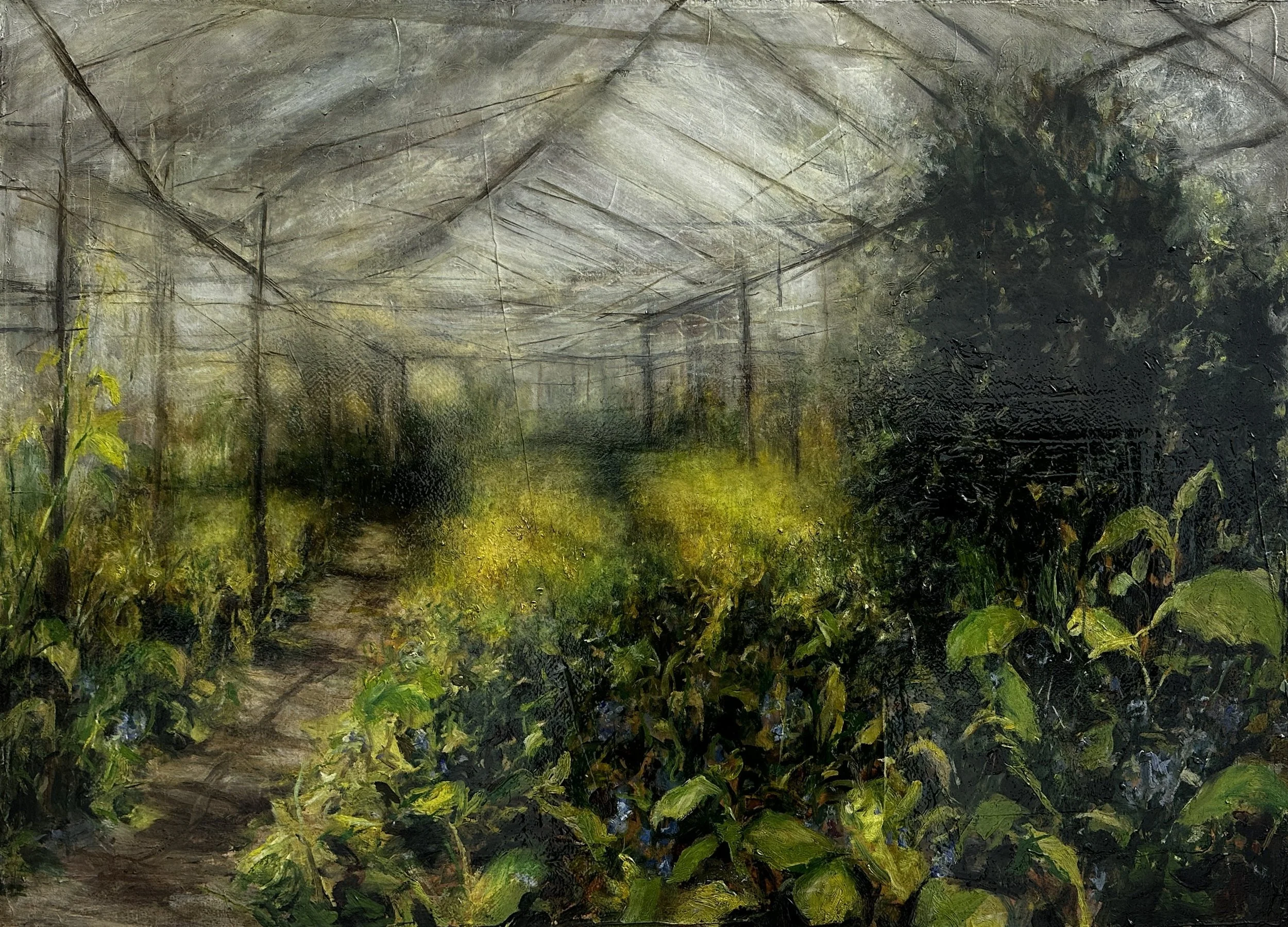 Mustard & Bay Tree - 71x51cm - AVAILABLE