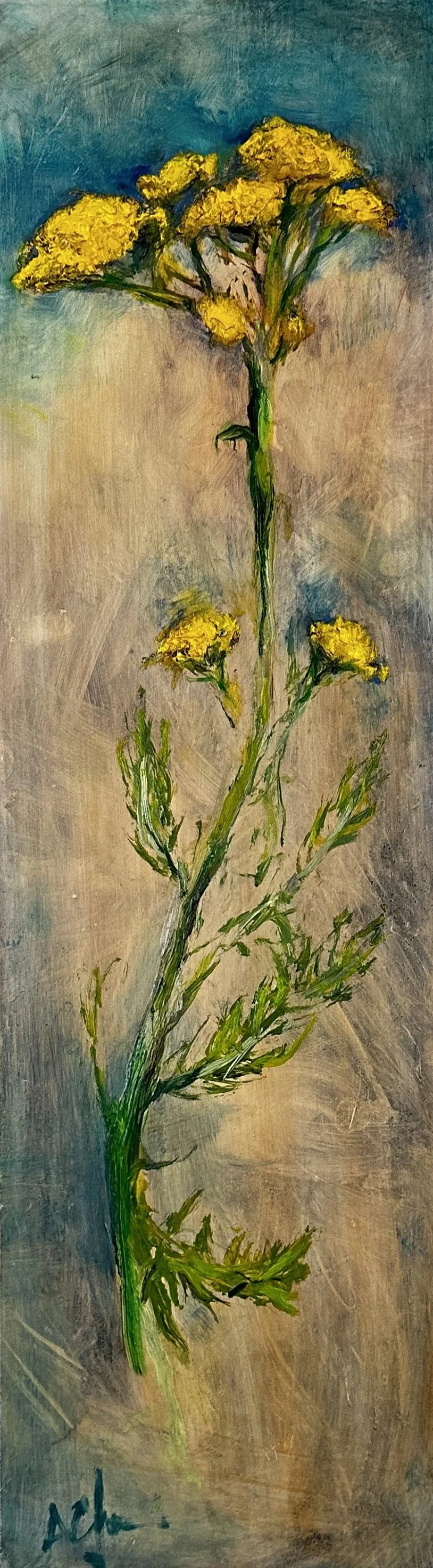Tansy - Oil on panel - 18 x 45 cm
