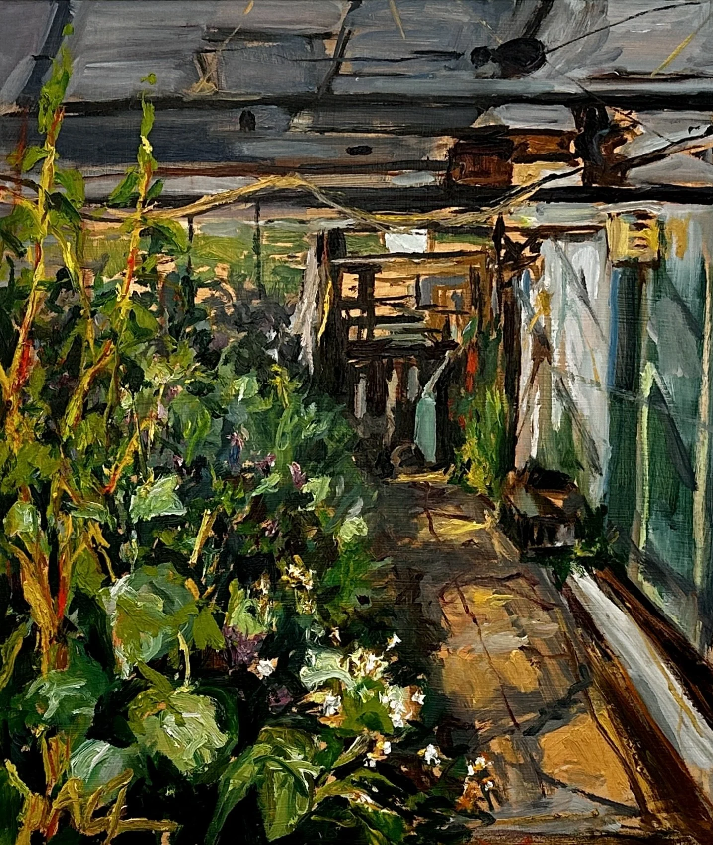 Yellow Stem Chard - 46x40cm - SOLD