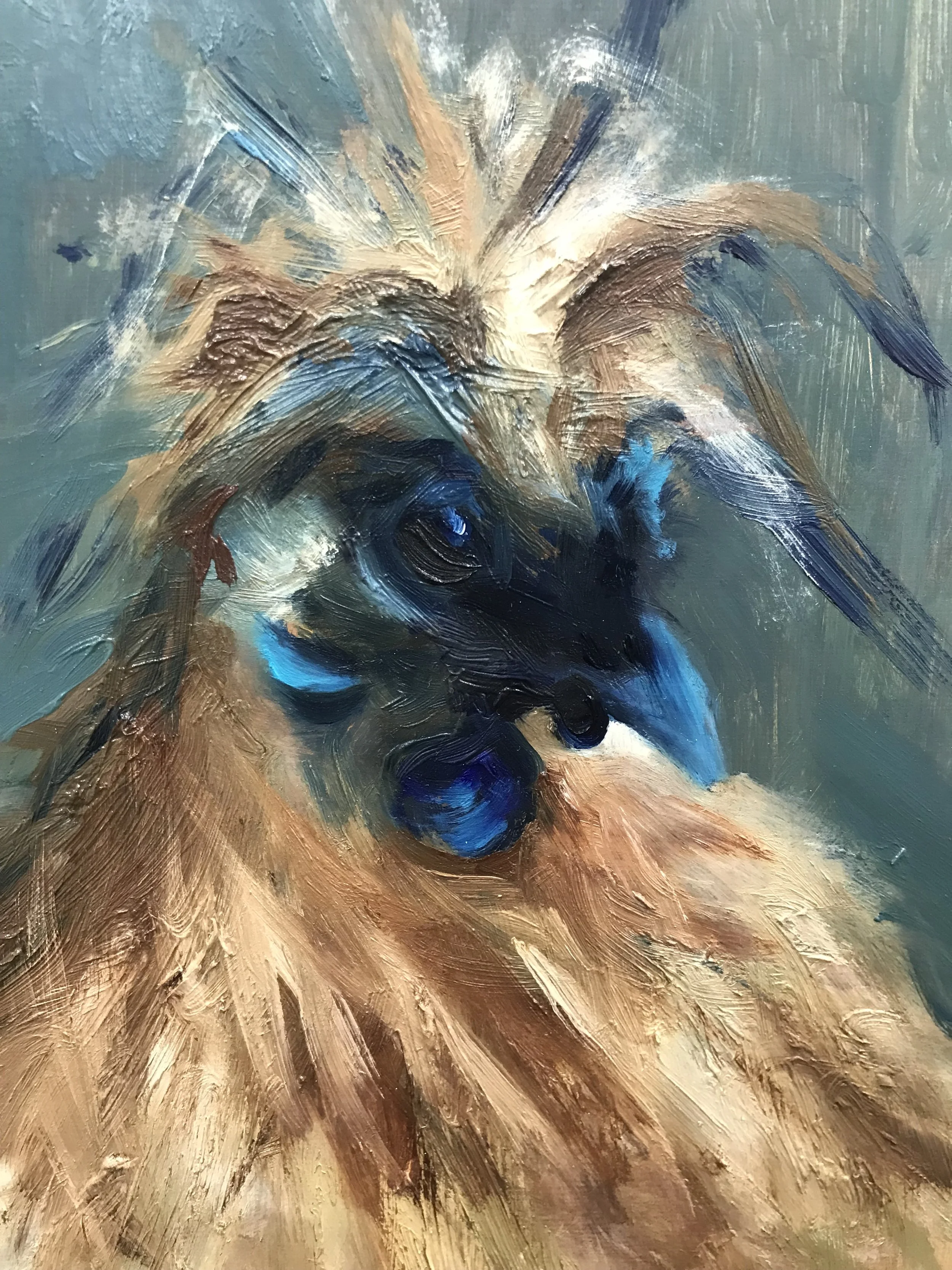 Silkie Bantam - SOLD