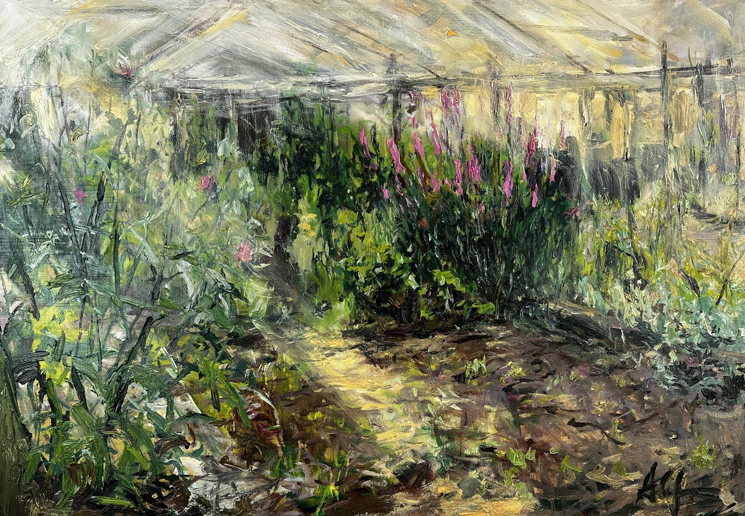 Pink Loose Strife - 65x45cm - AVAILABLE